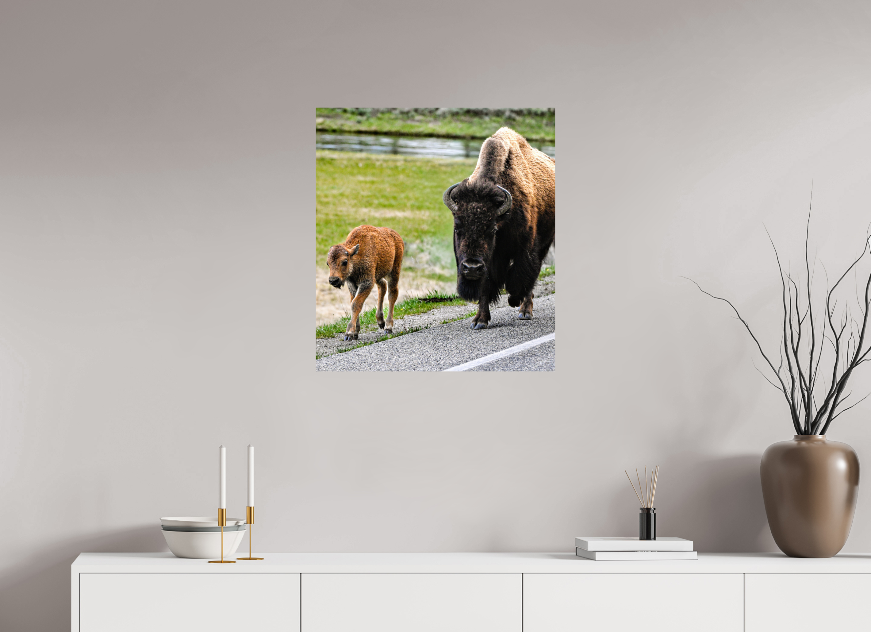 24 x 26.5″, PHOTO PAPER Bison and Red Dog On the Street