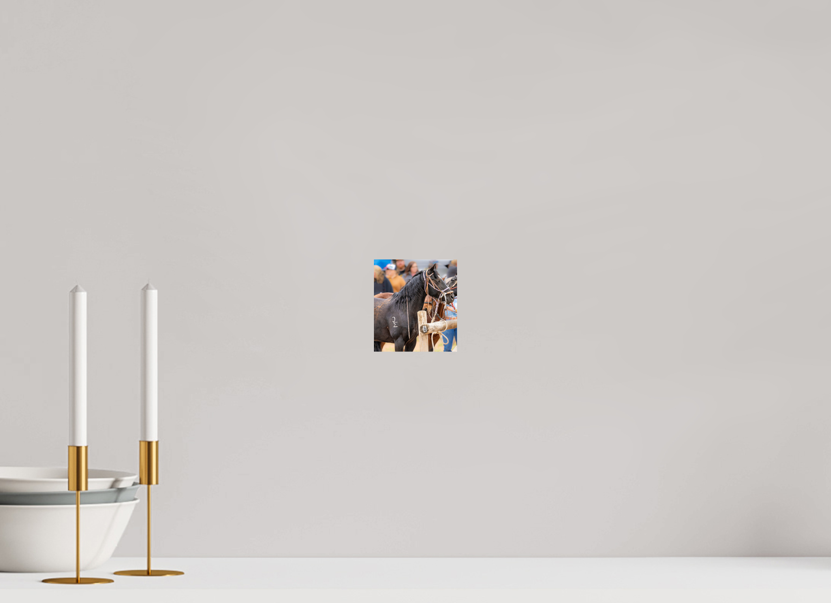 4 x 4.4″, PHOTO PAPER Pack Horse Portrait 2