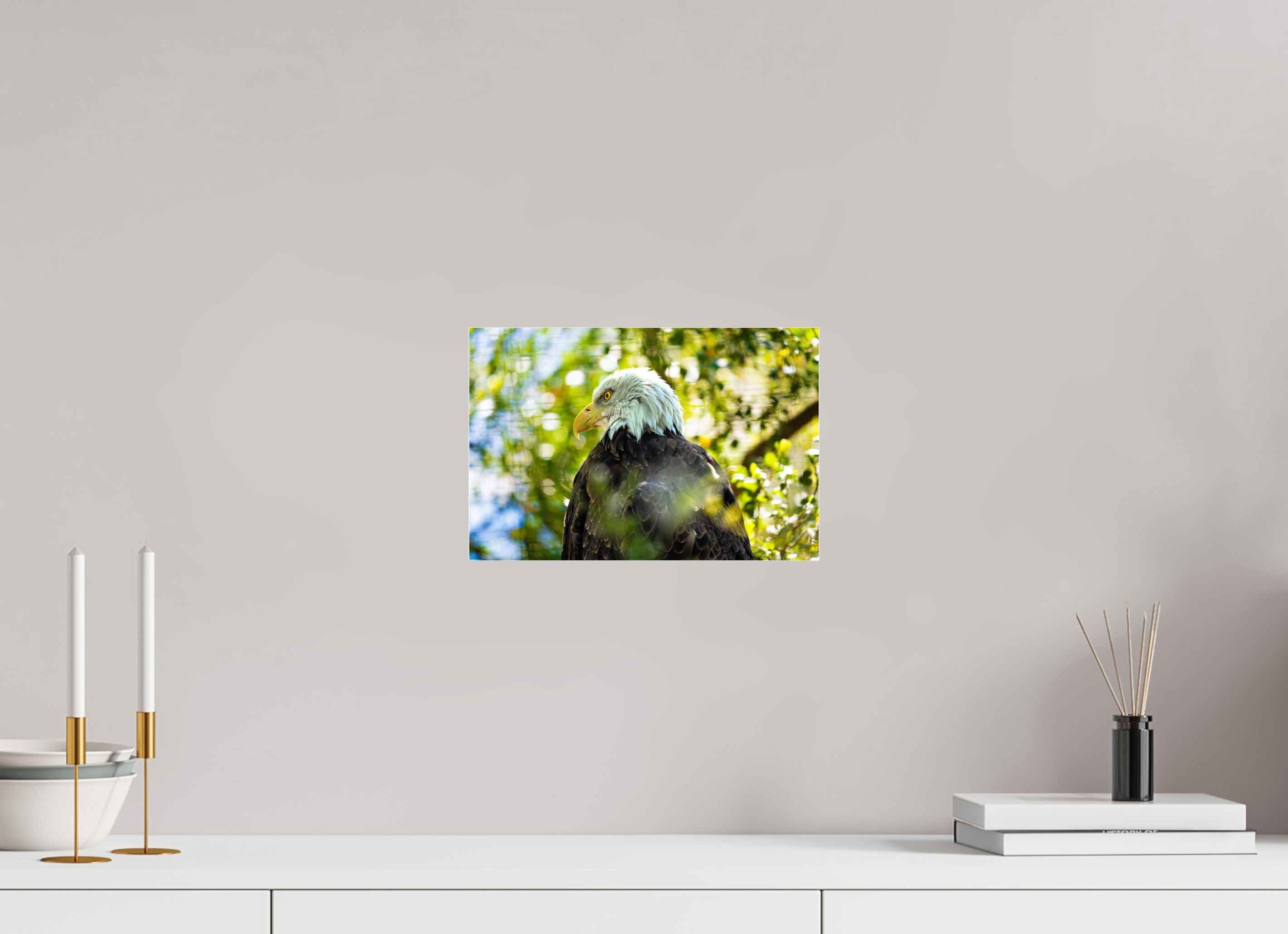 12 x 8″, ACRYLIC America 250 Bald Eagle