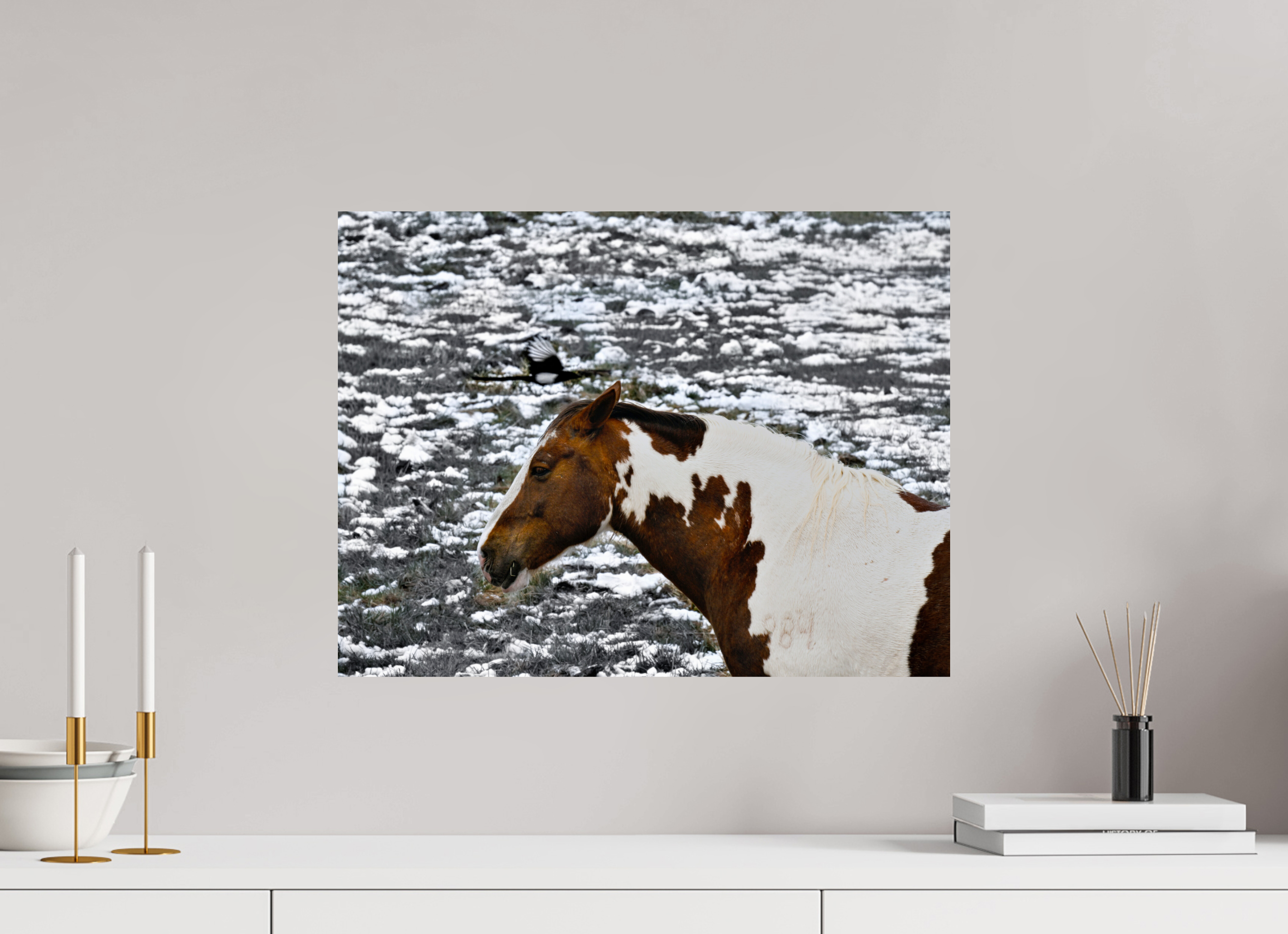 21 x 16″, METAL Paint Horse with Bird Flying Over