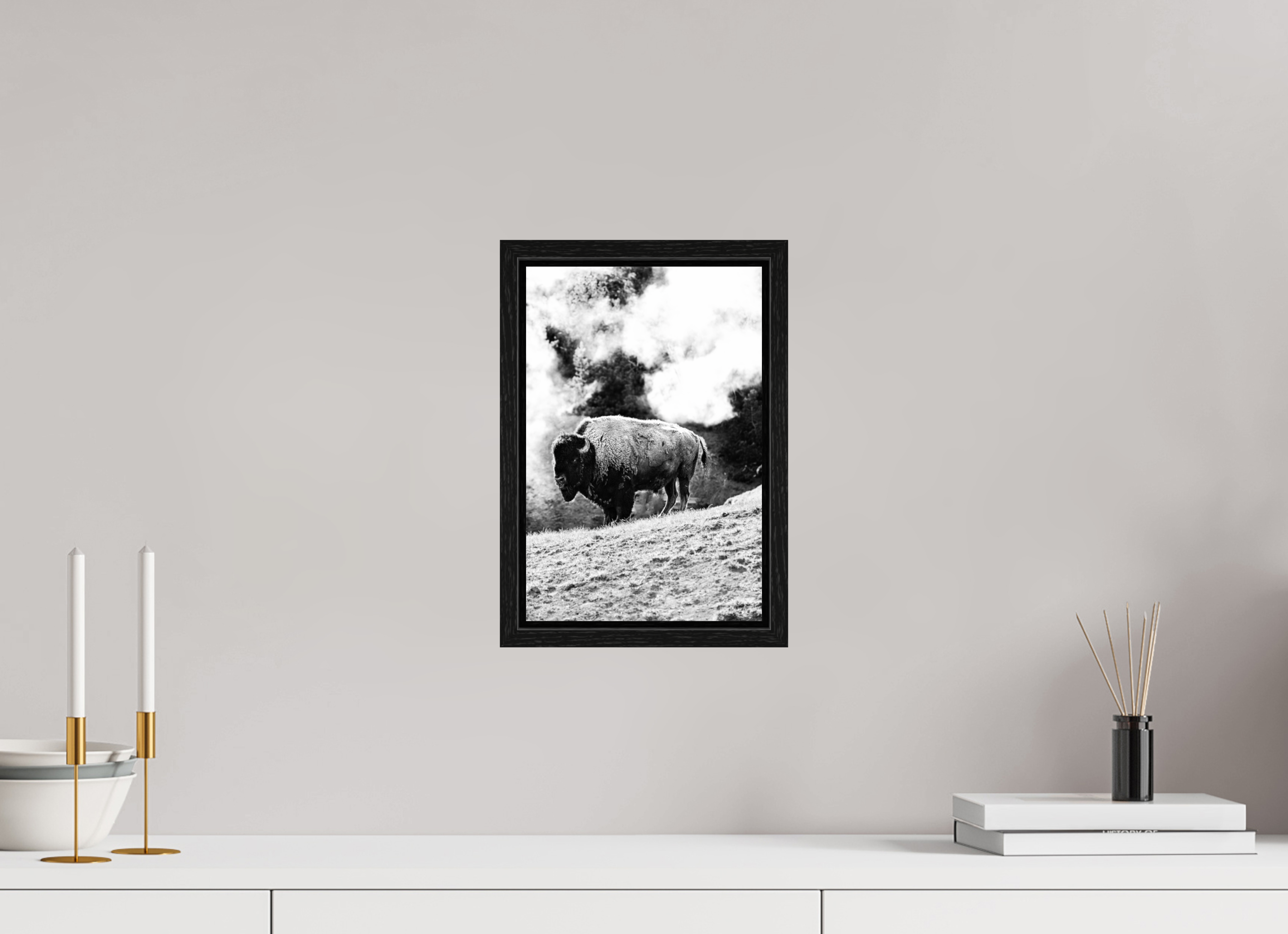 8 x 12″, Floater Frame Black and White Bison with steam background