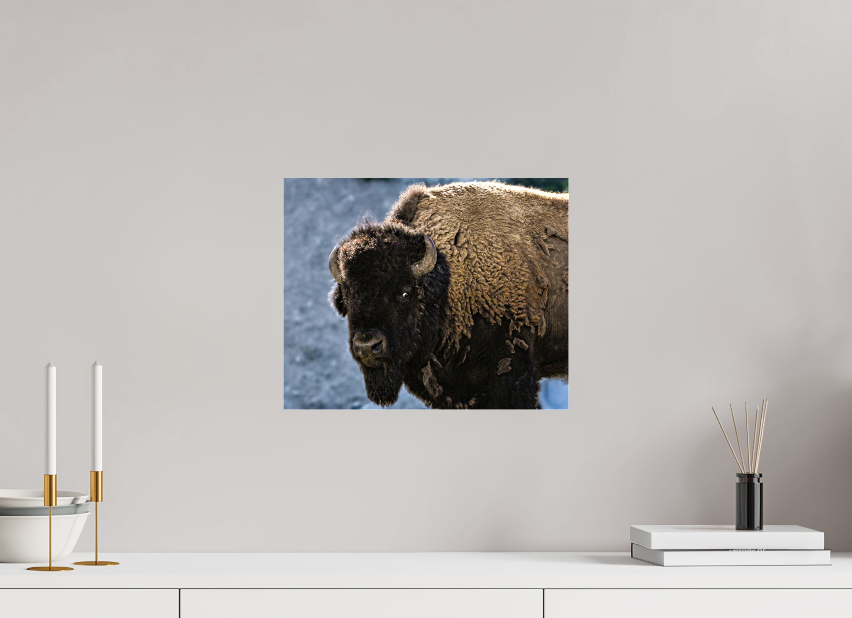14.8 x 12″, ACRYLIC Bison Portrait