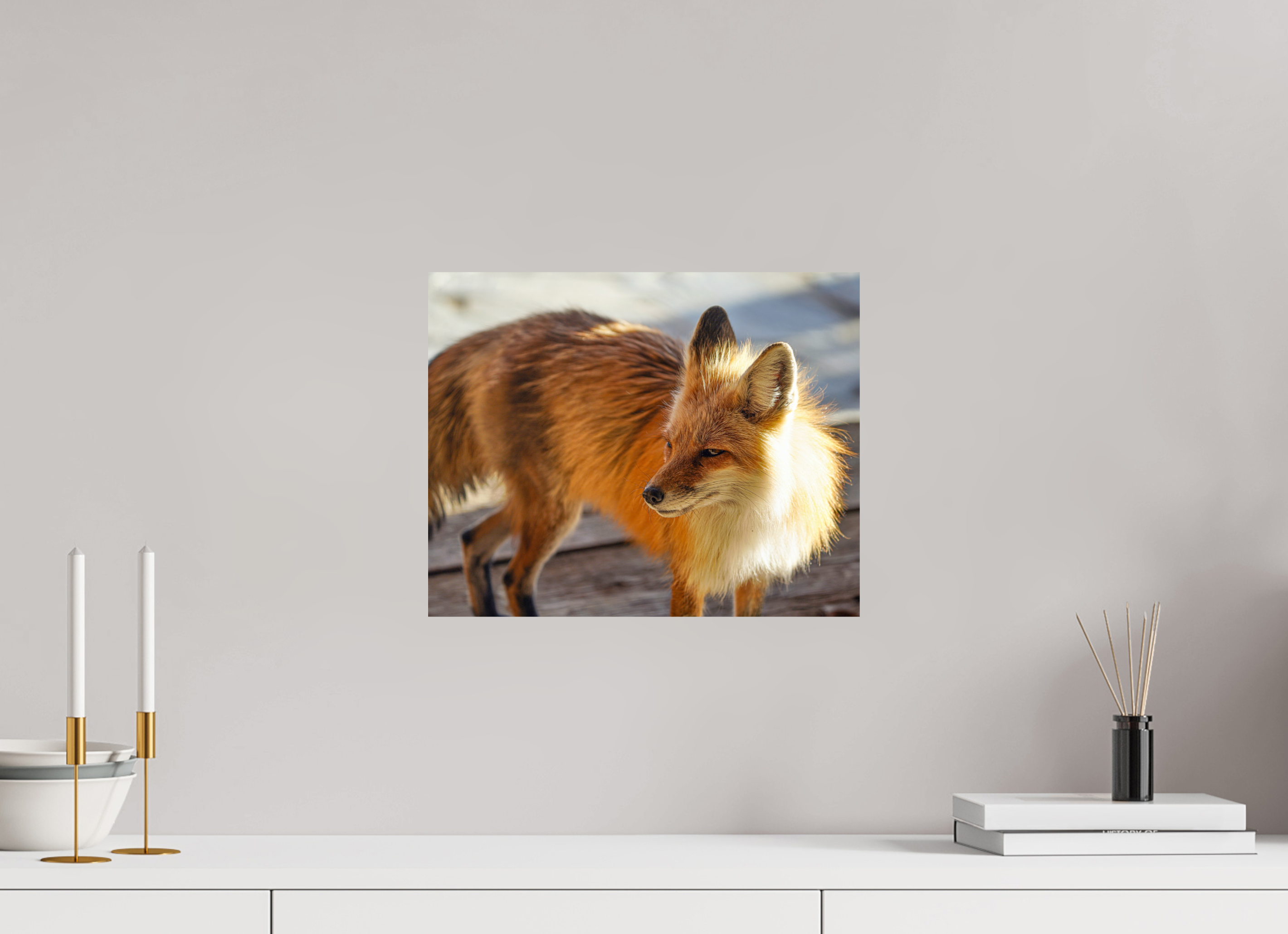 15 x 12″, PHOTO PAPER Fox