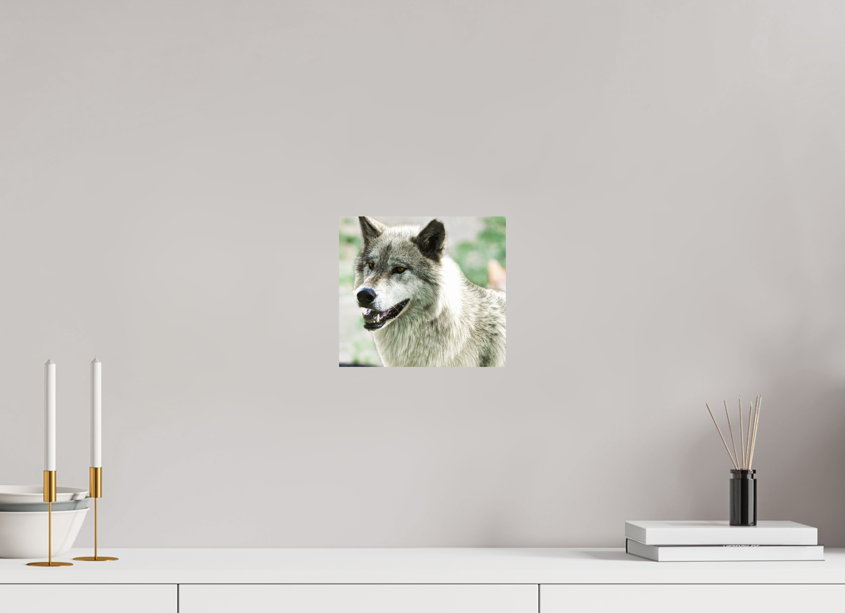 8.9 x 8″, PHOTO PAPER Wolf Portrait