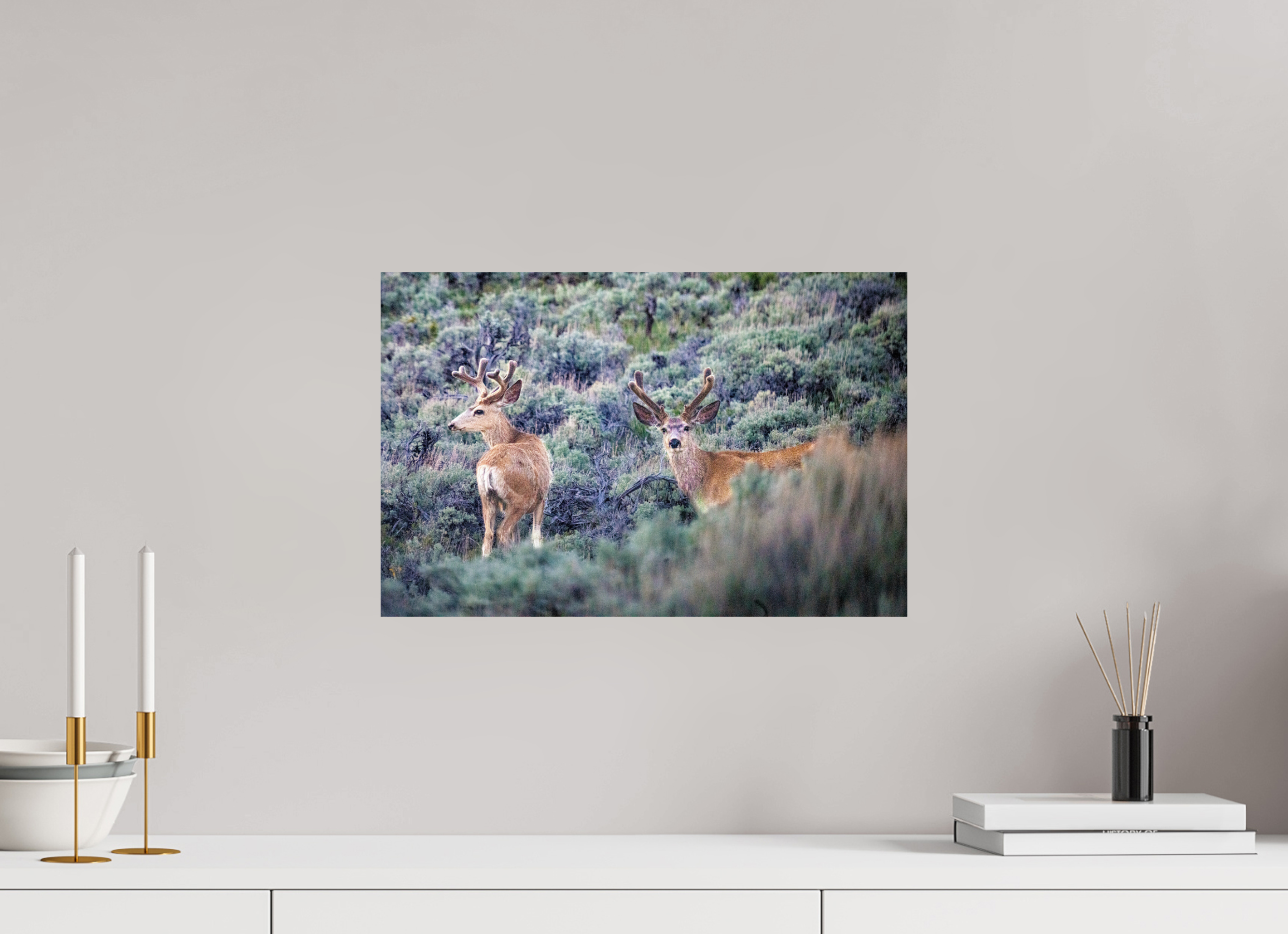 18.3 x 12″, PHOTO PAPER Deer