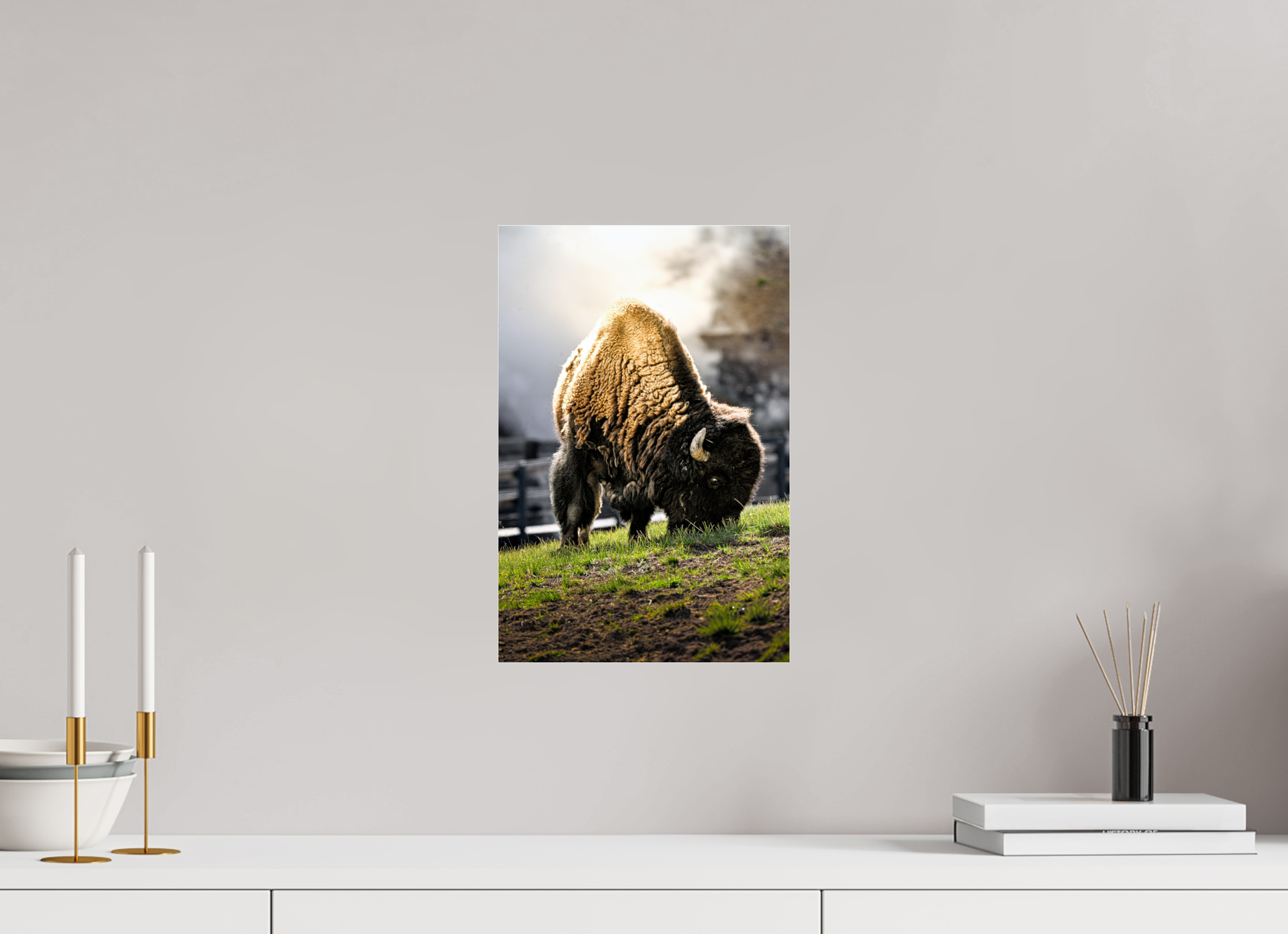 10 x 15″, ACRYLIC Bison Grazing