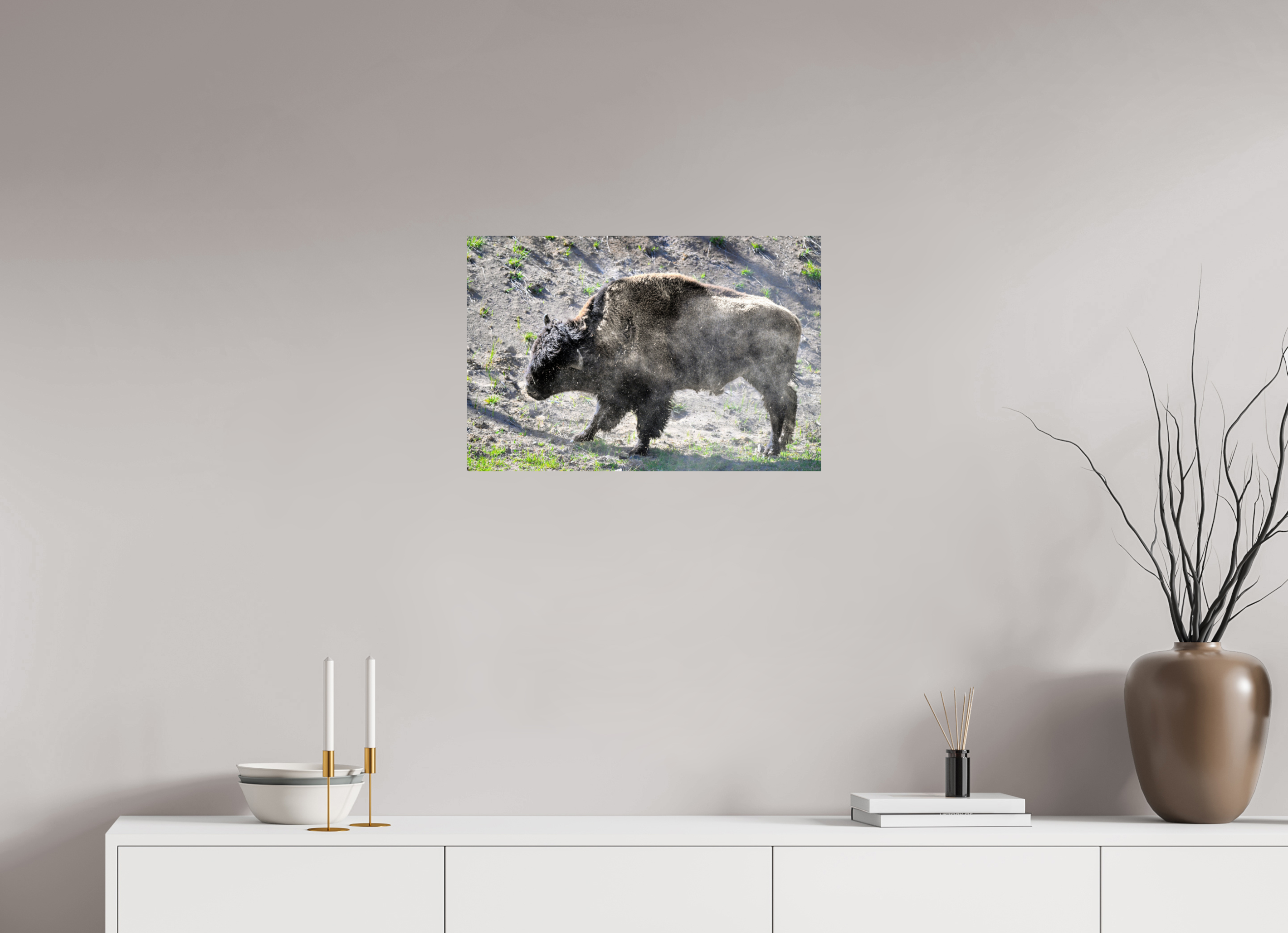 24 x 16″, PHOTO PAPER Bison Shake