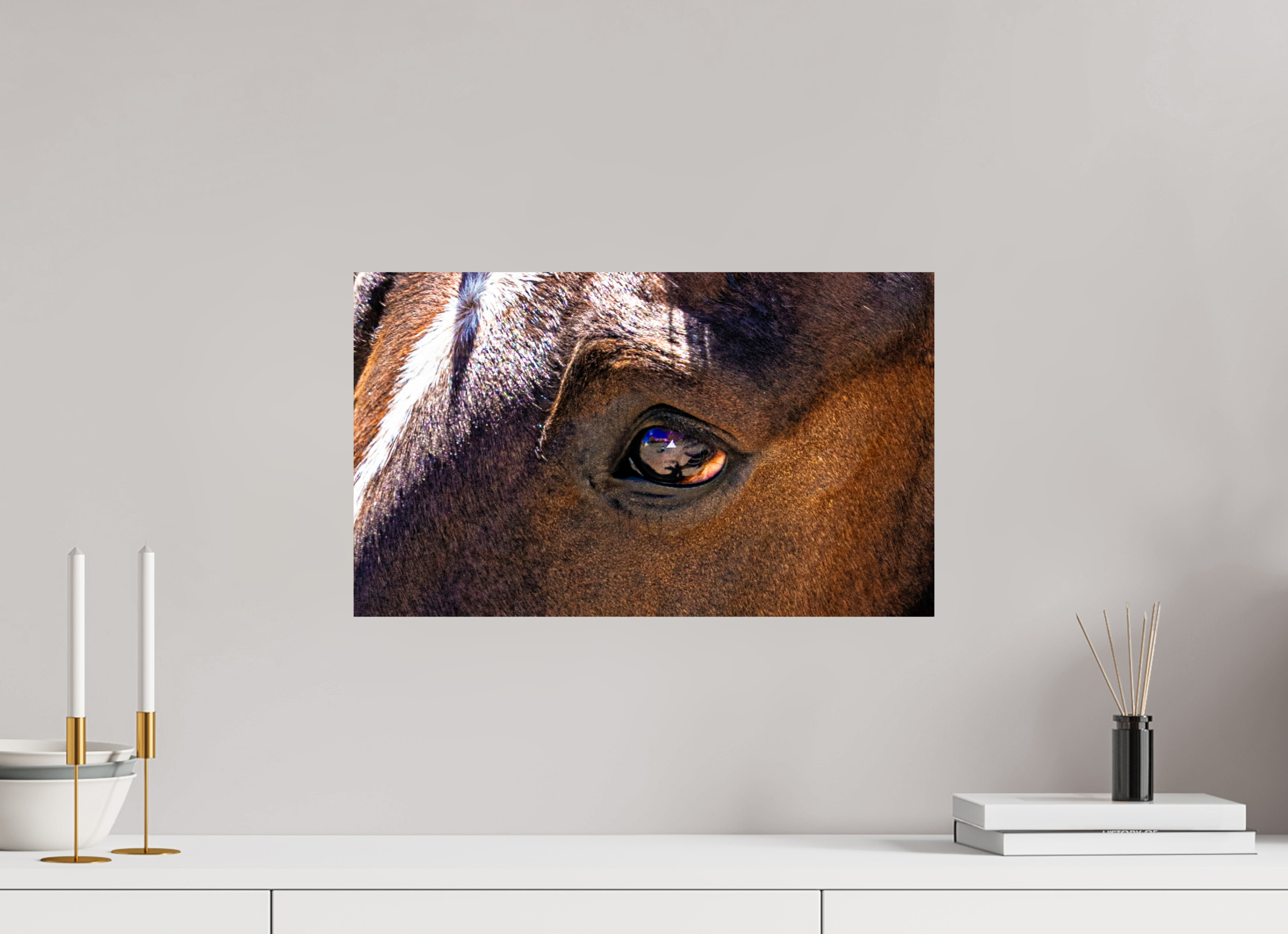 20.2 x 12″, PHOTO PAPER Pack Horse Eye