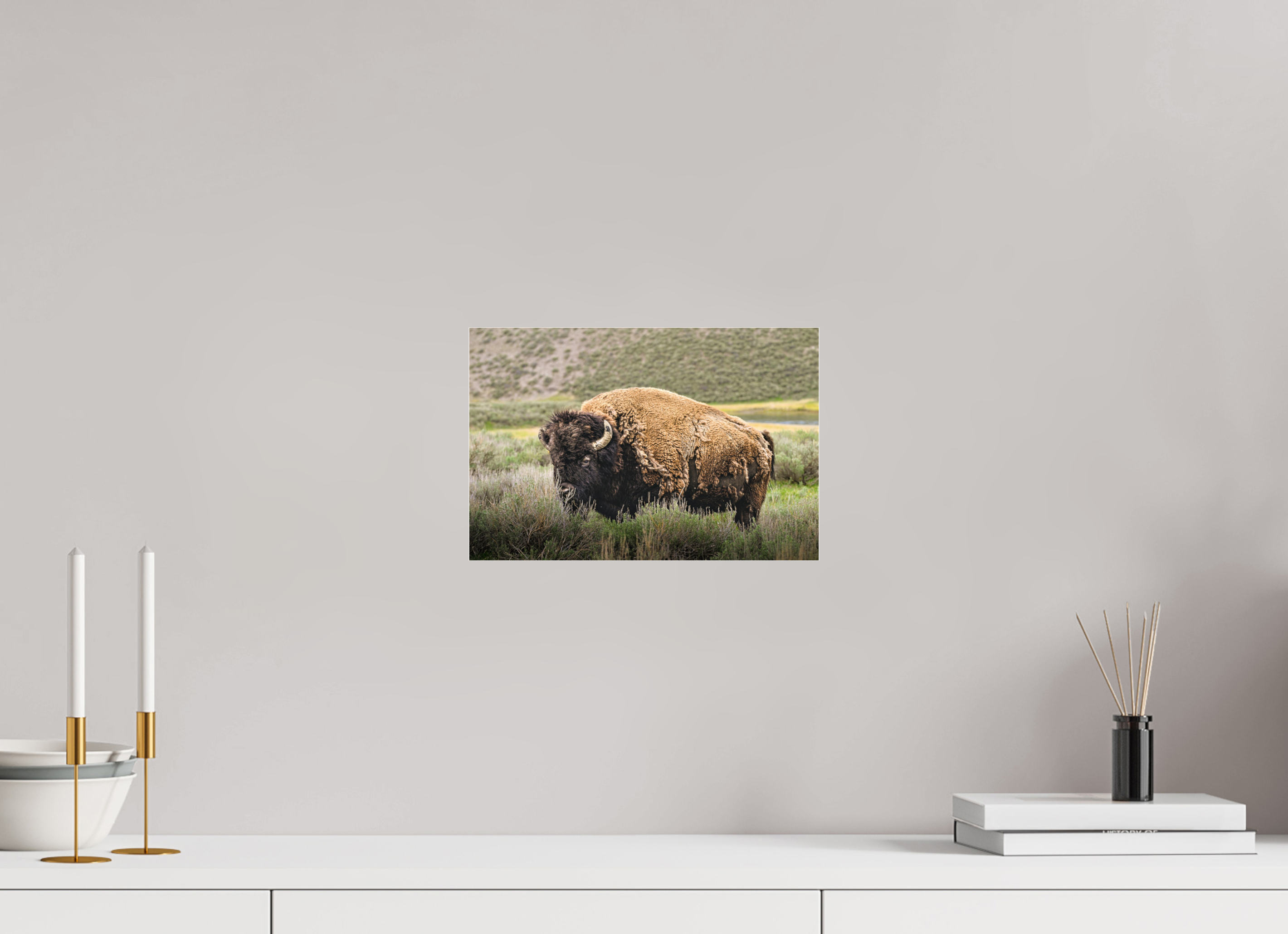 12 x 8″, ACRYLIC Bison