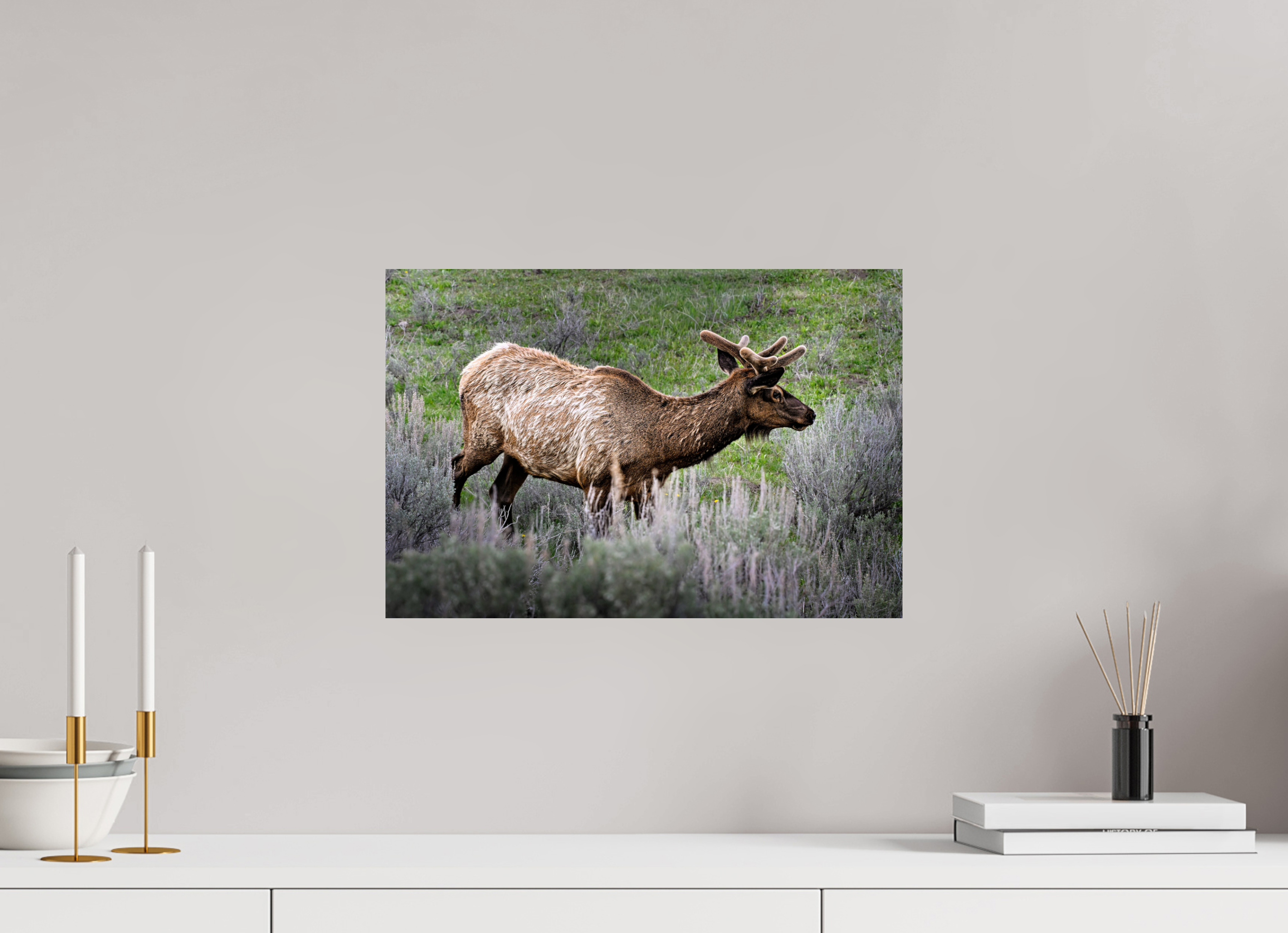 17.8 x 12″, METAL Elk
