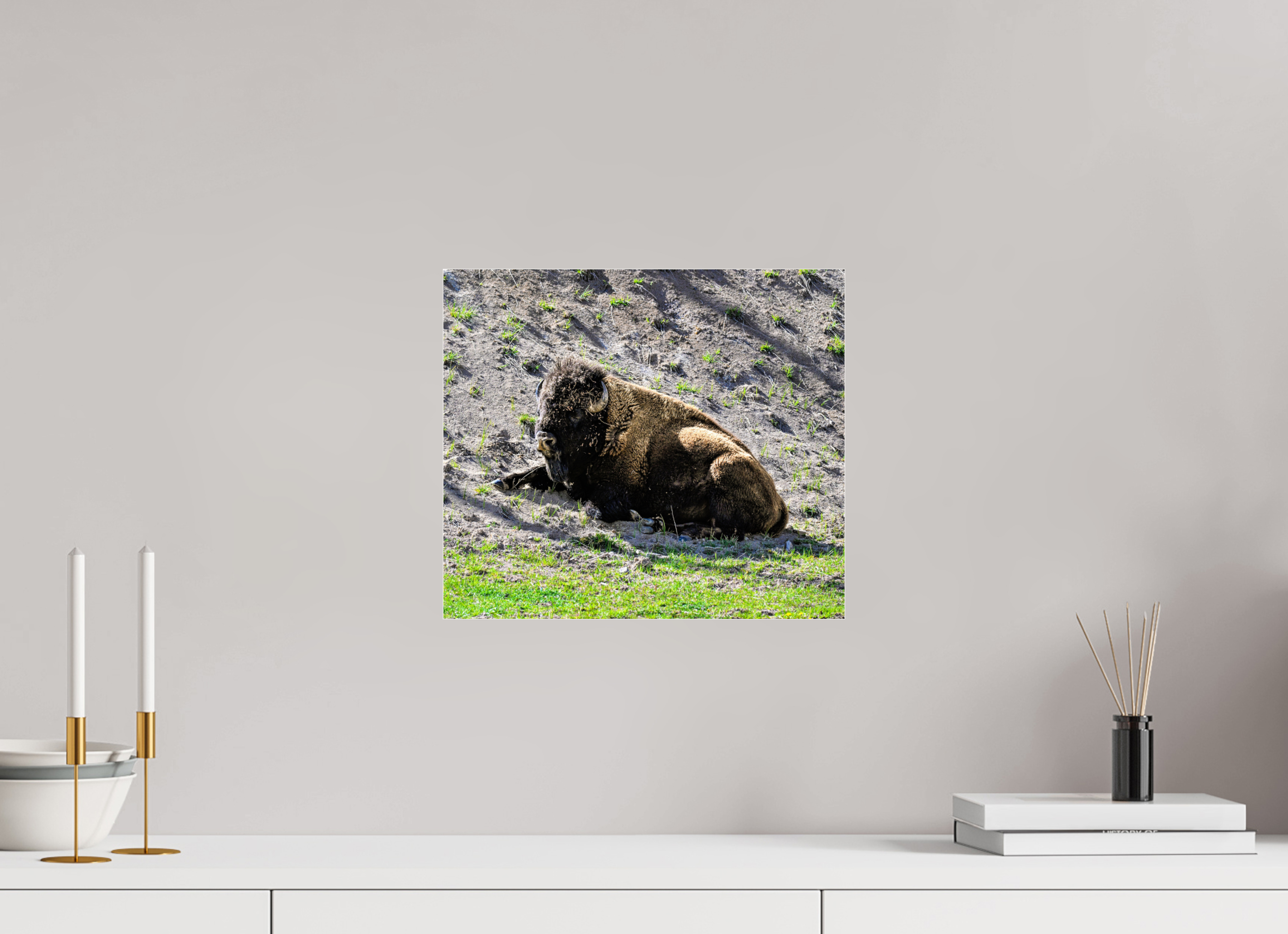 13.8 x 12″, ACRYLIC Bison Laying Down