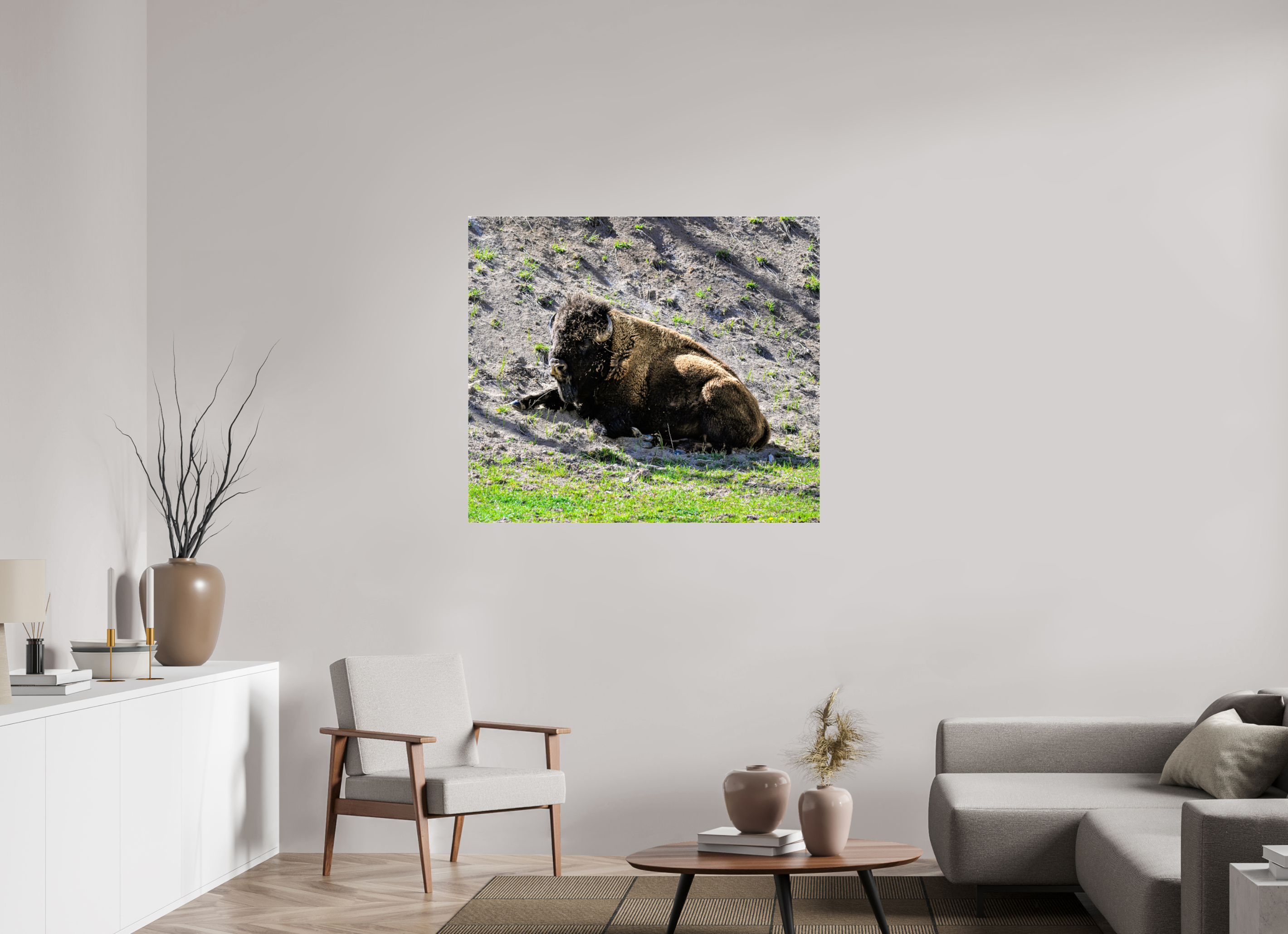 44.8 x 39″, ACRYLIC Bison Laying Down