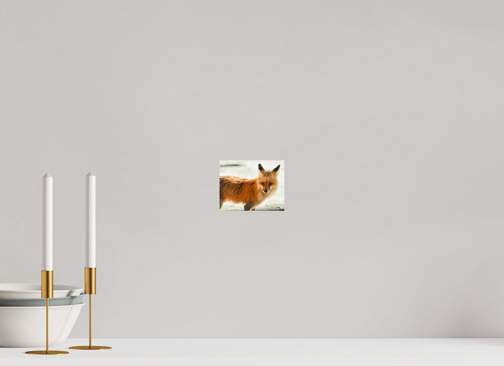 5.2 x 4″, PHOTO PAPER Fox