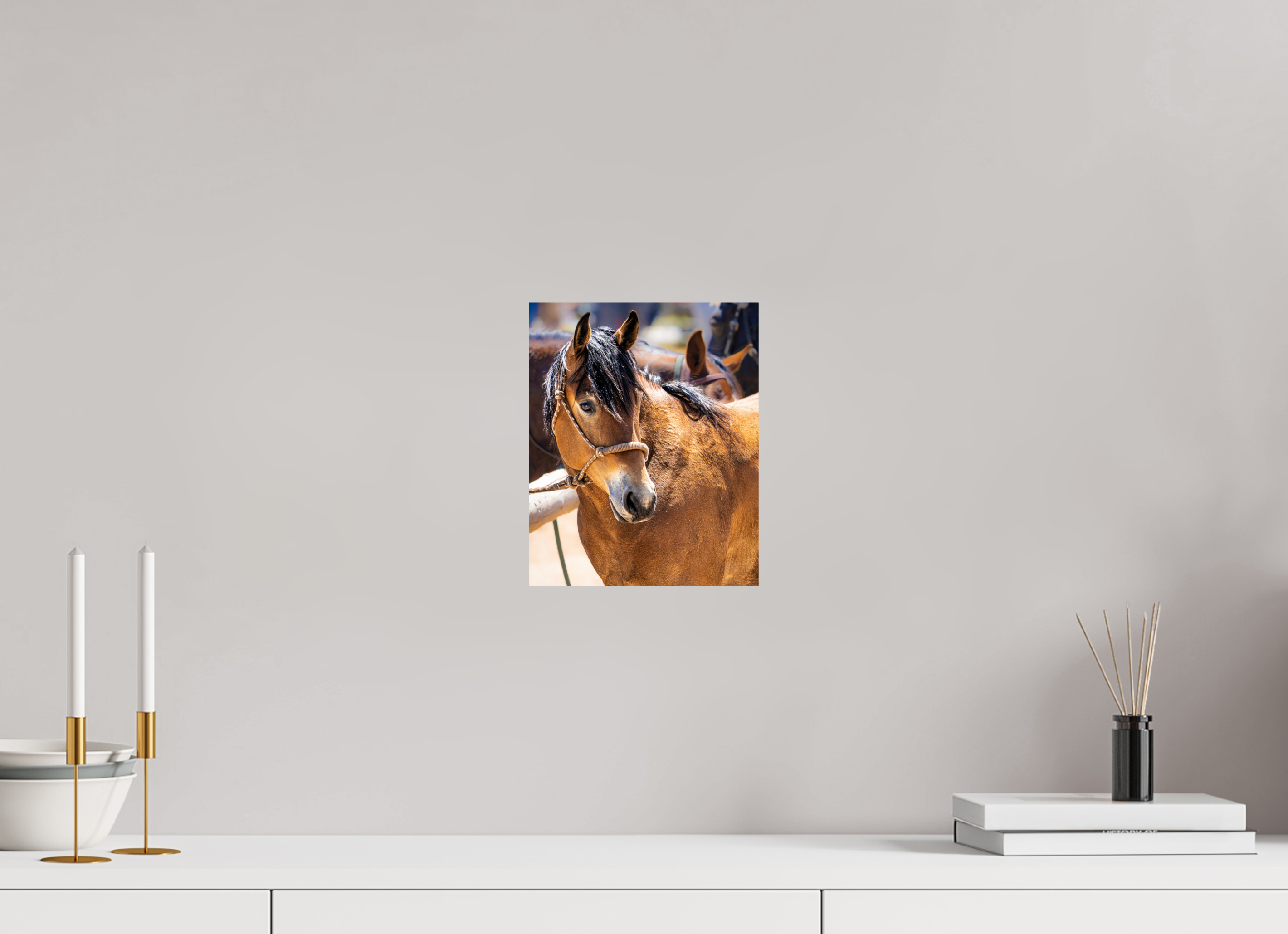8 x 9.9″, PHOTO PAPER Pack Horse Portrait 5