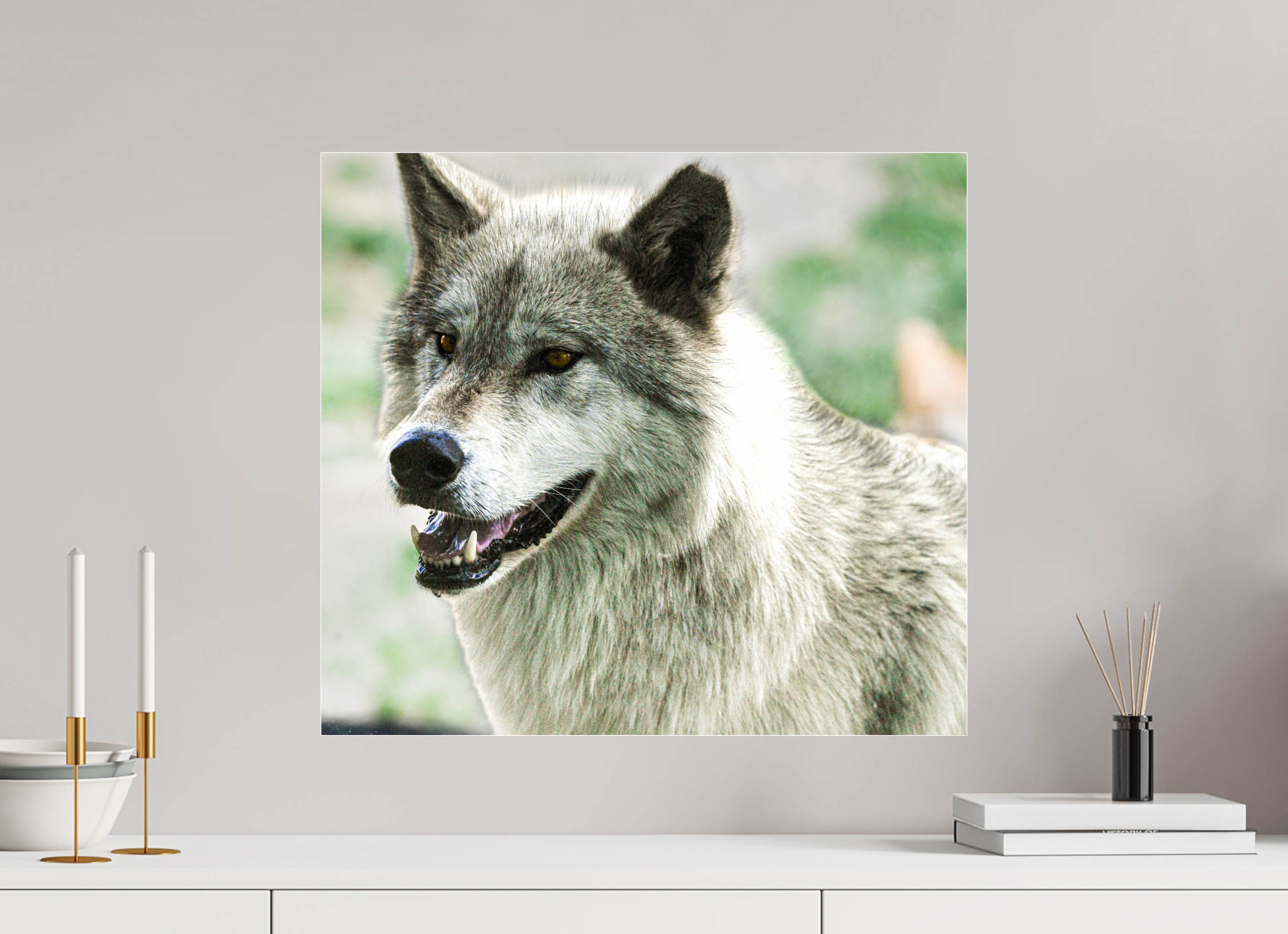 22.2 x 20″, ACRYLIC Wolf Portrait