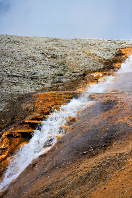 Main image Yellowstone