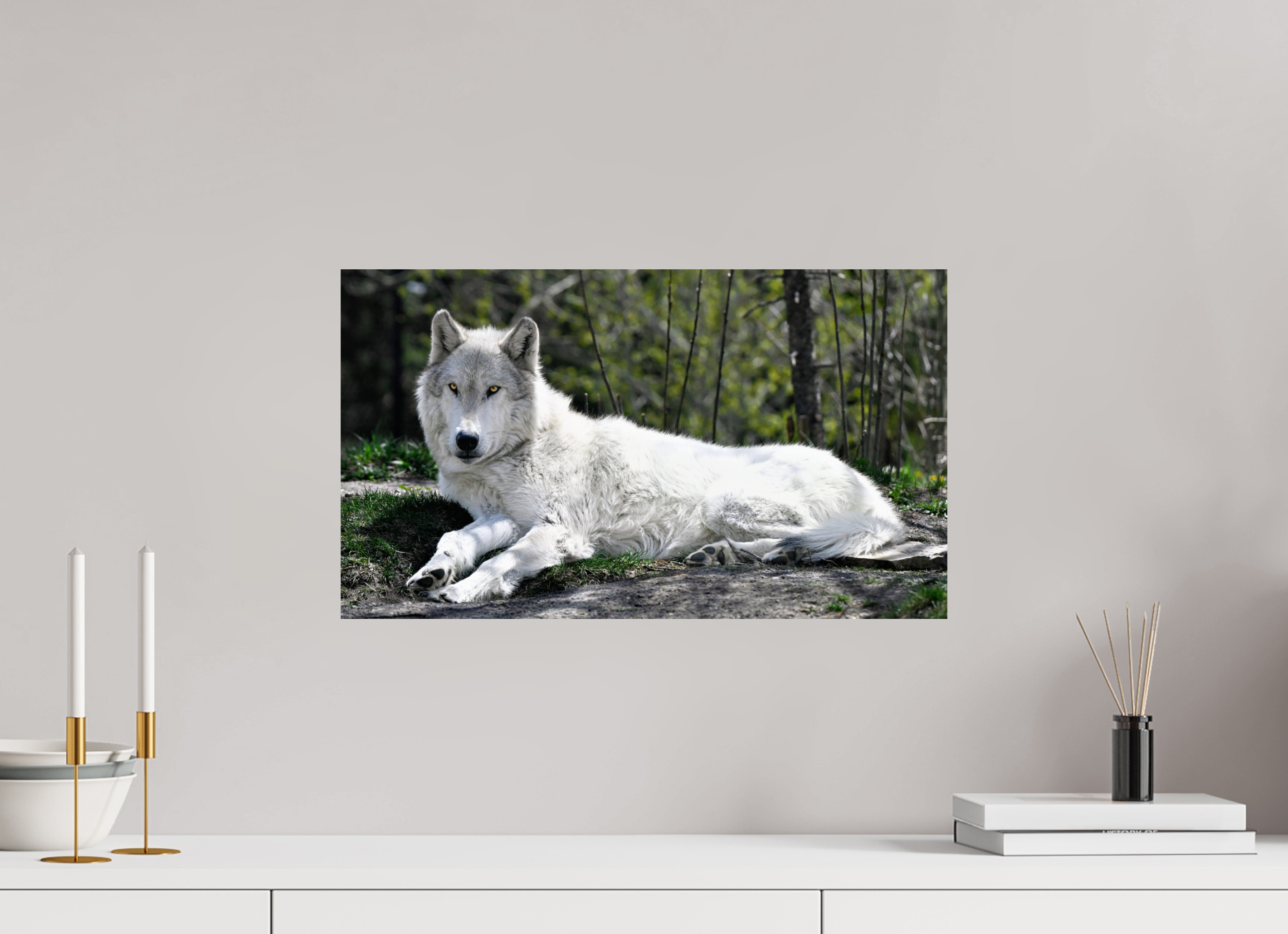 20.8 x 12″, METAL Wolf Laying Down