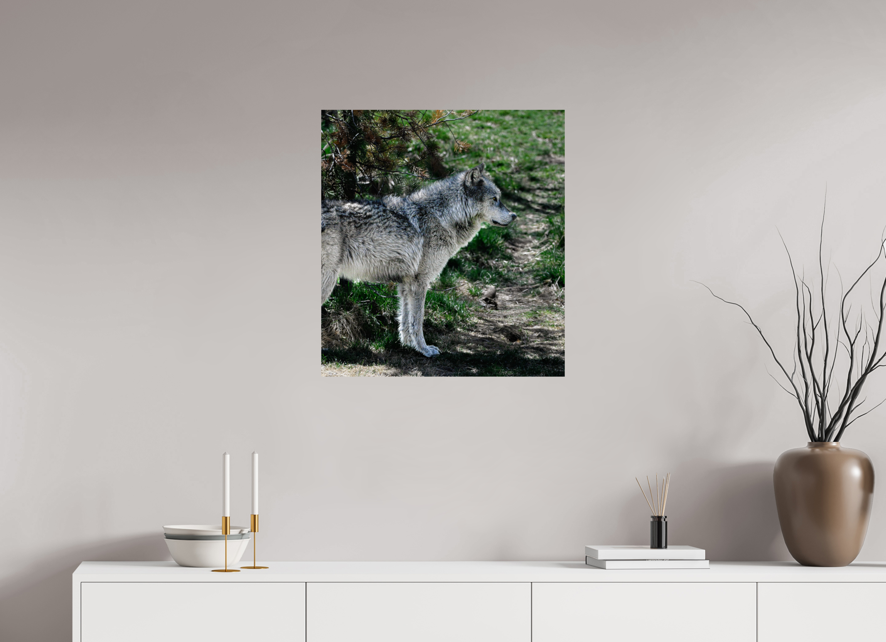 24 x 26.3″, PHOTO PAPER Wolf Standing
