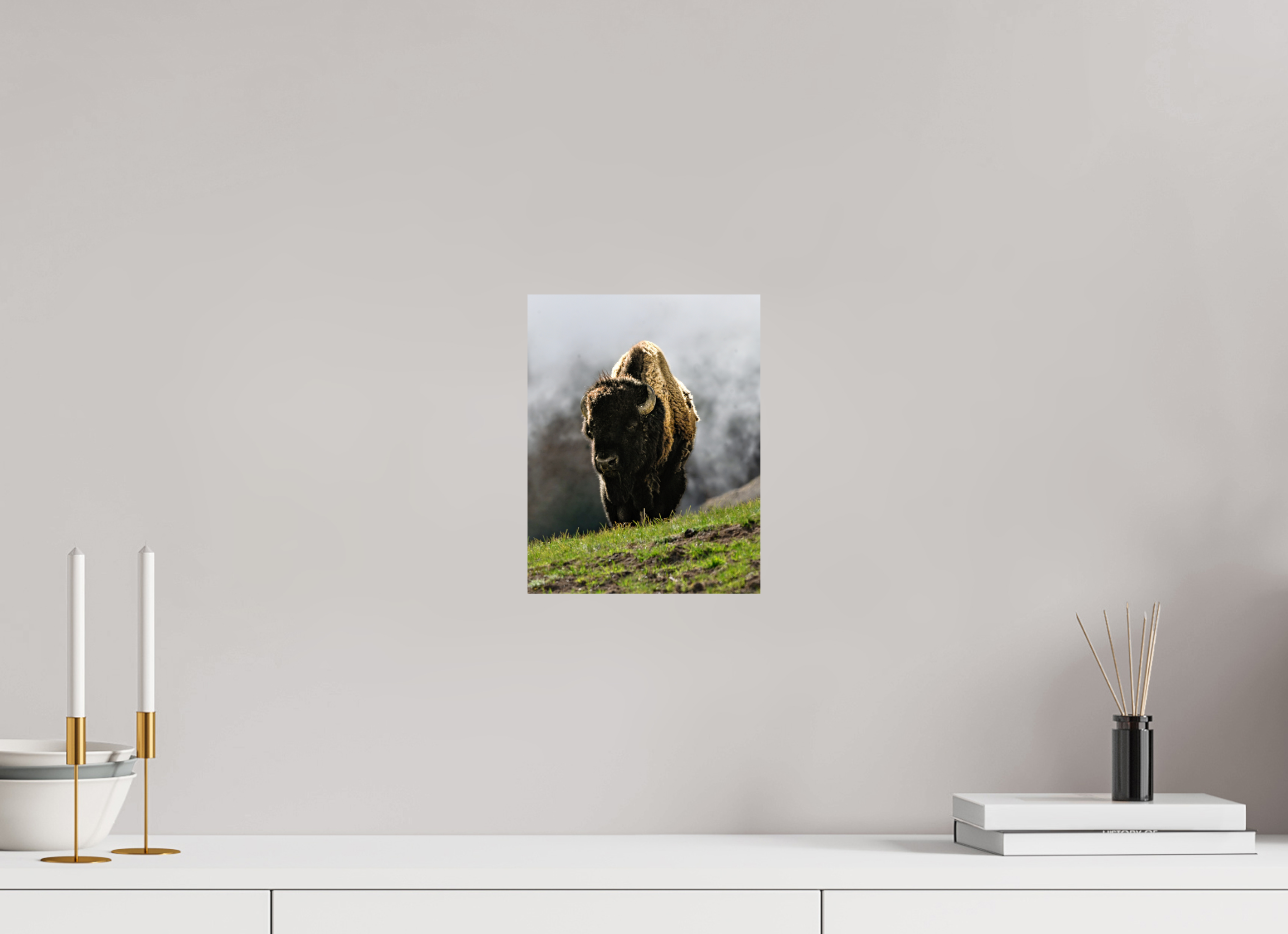 8 x 10.3″, METAL Bison