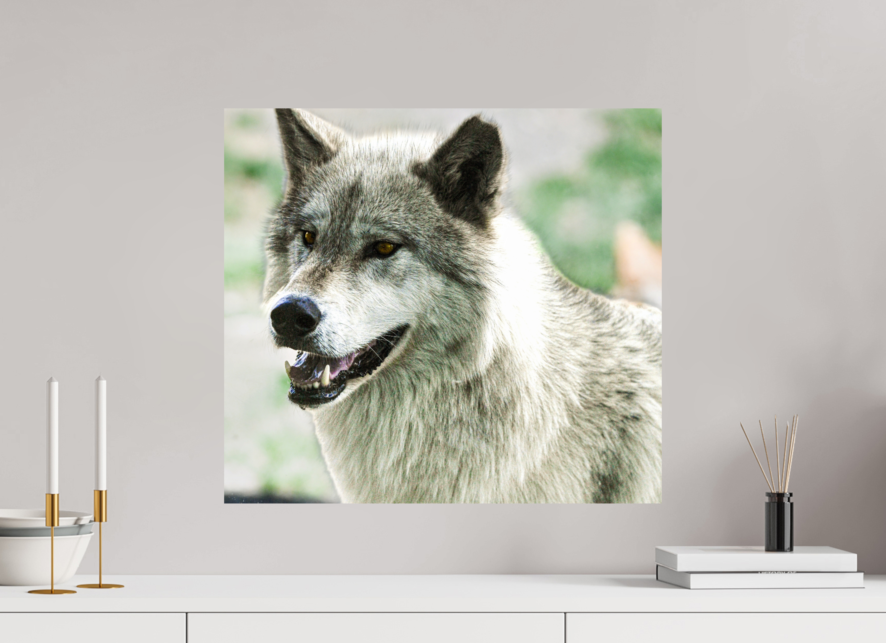 22.2 x 20″, PHOTO PAPER Wolf Portrait