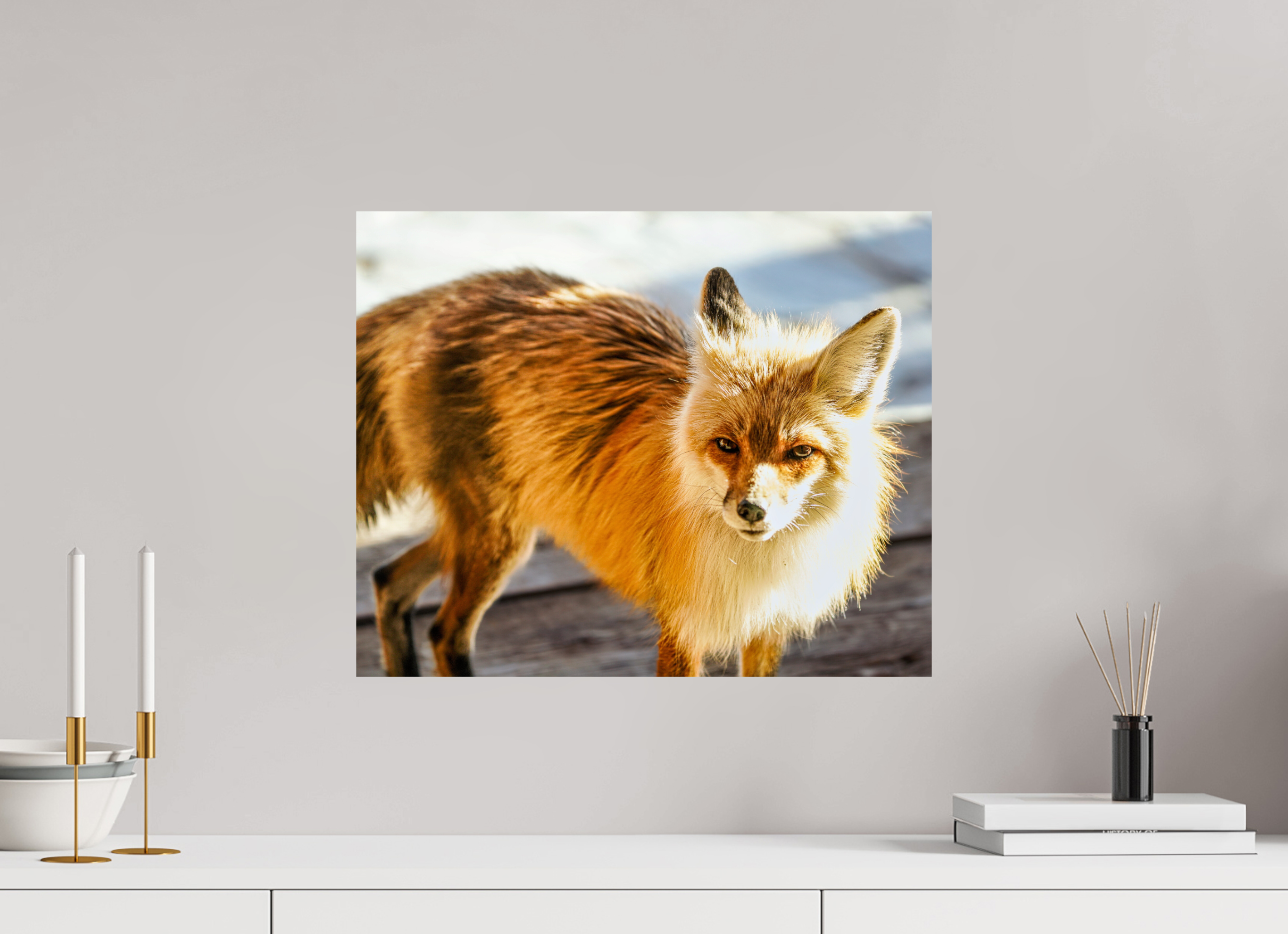 19.8 x 16″, METAL Fox