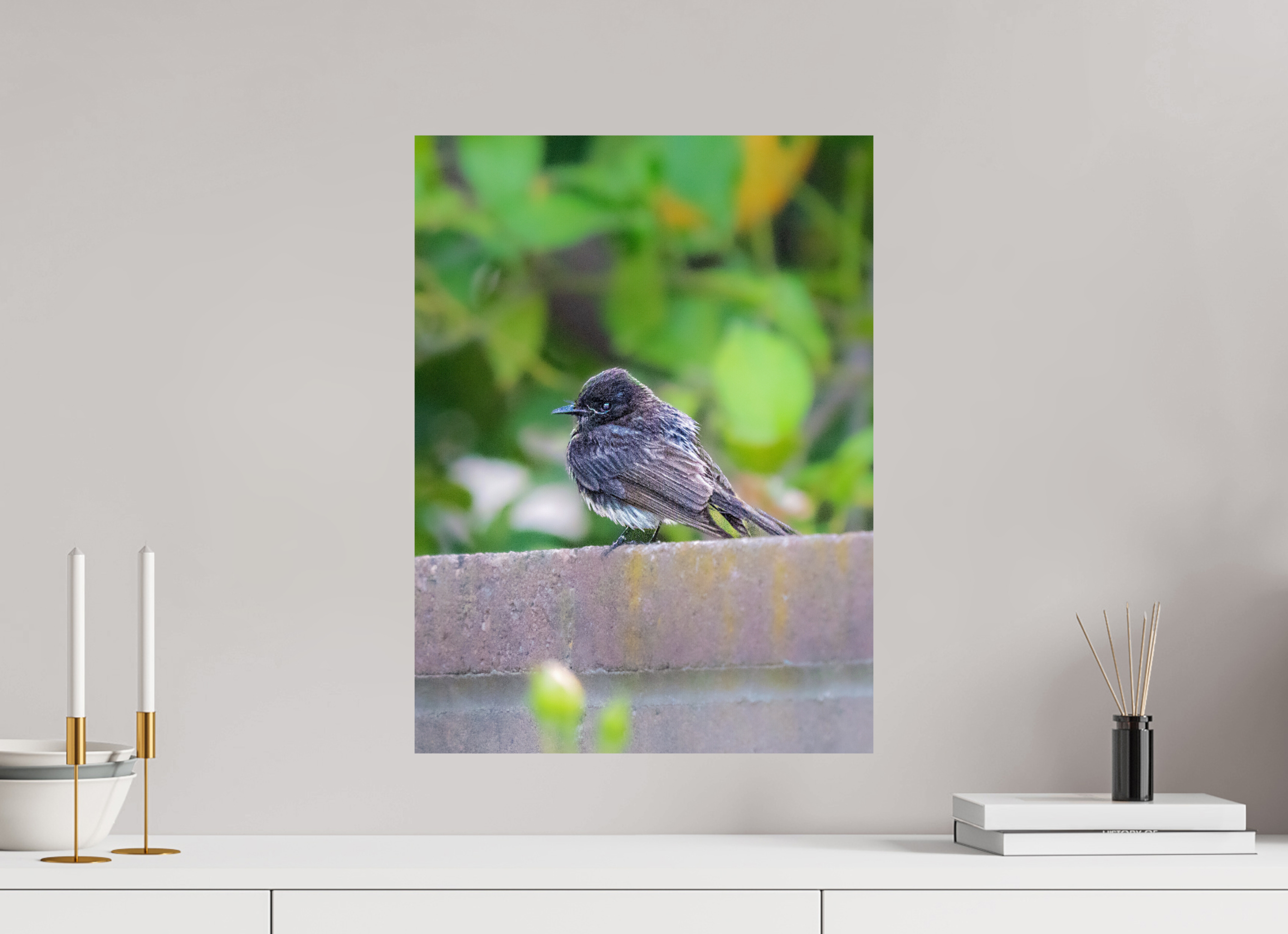 16 x 21.5″, PHOTO PAPER Bird