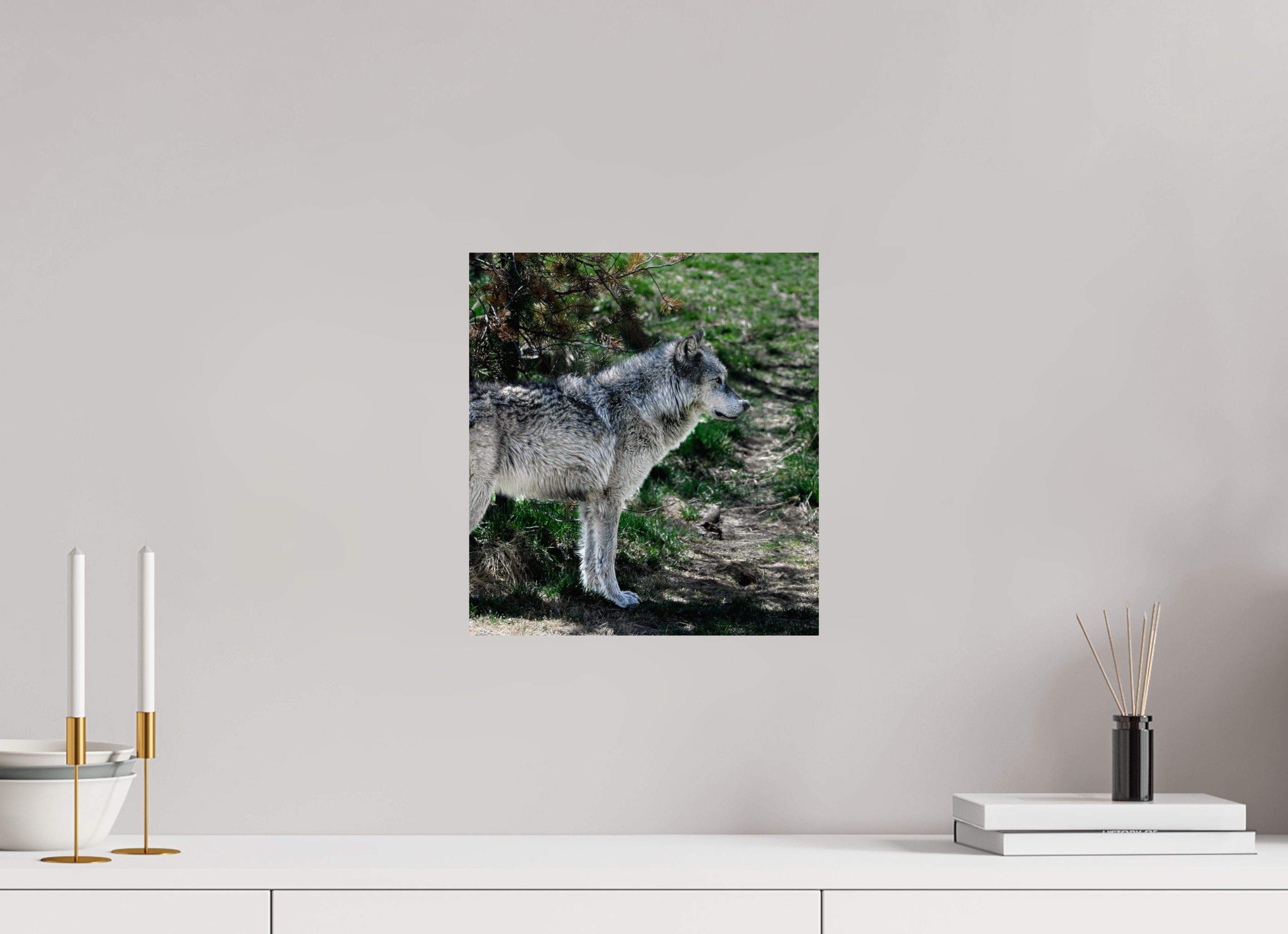 12 x 13.1″, METAL Wolf Standing