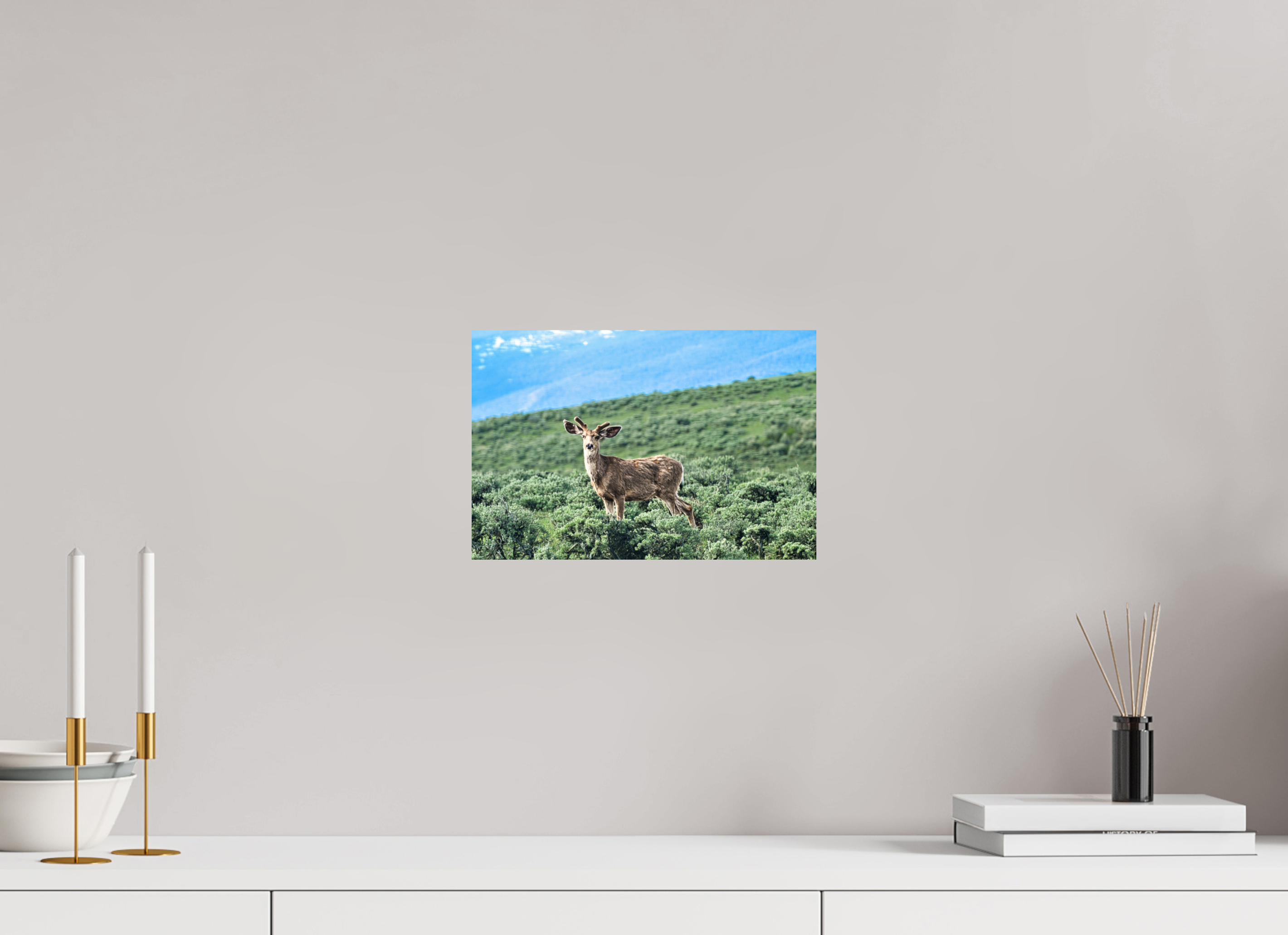 12 x 8″, PHOTO PAPER Deer