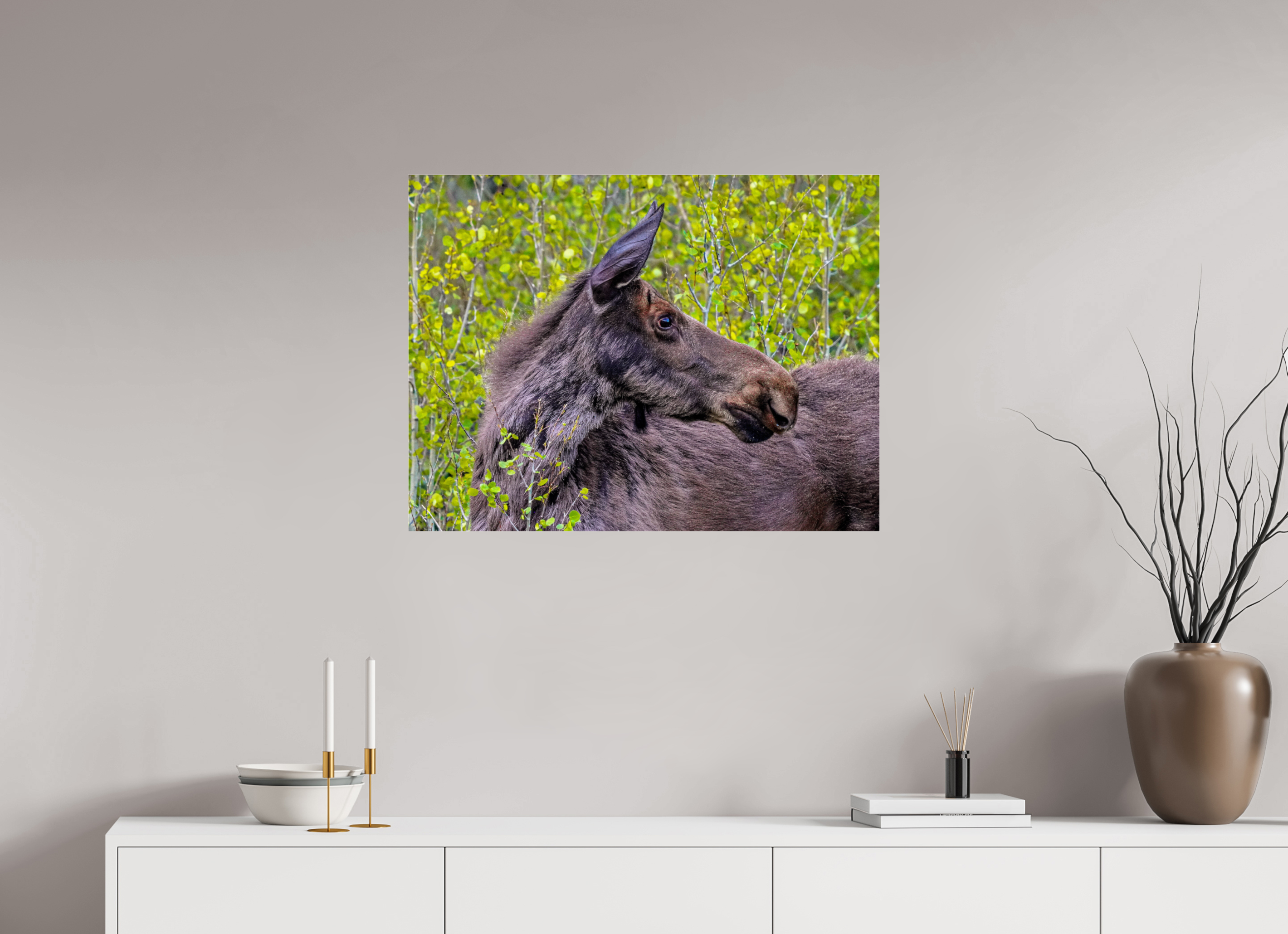 31.7 x 24″, ACRYLIC Moose Close up