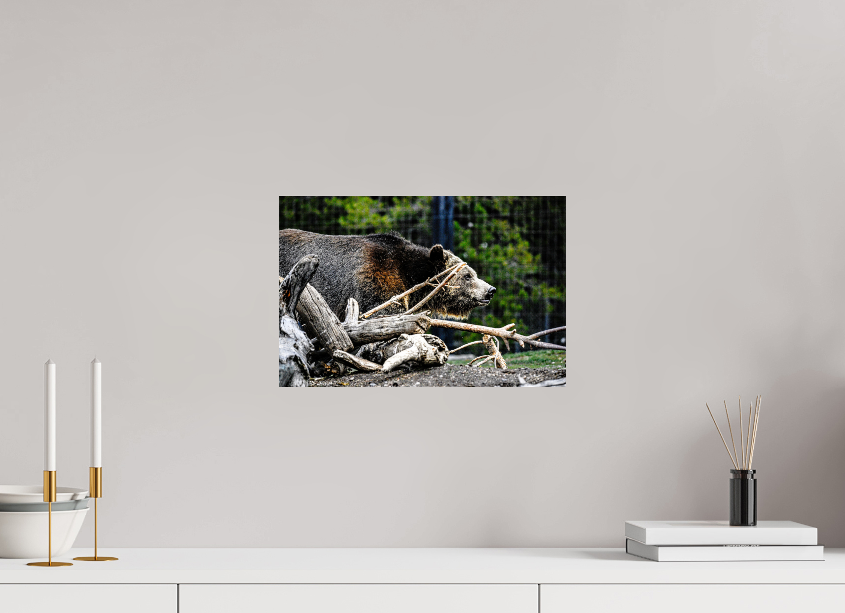 15 x 10″, METAL Bear