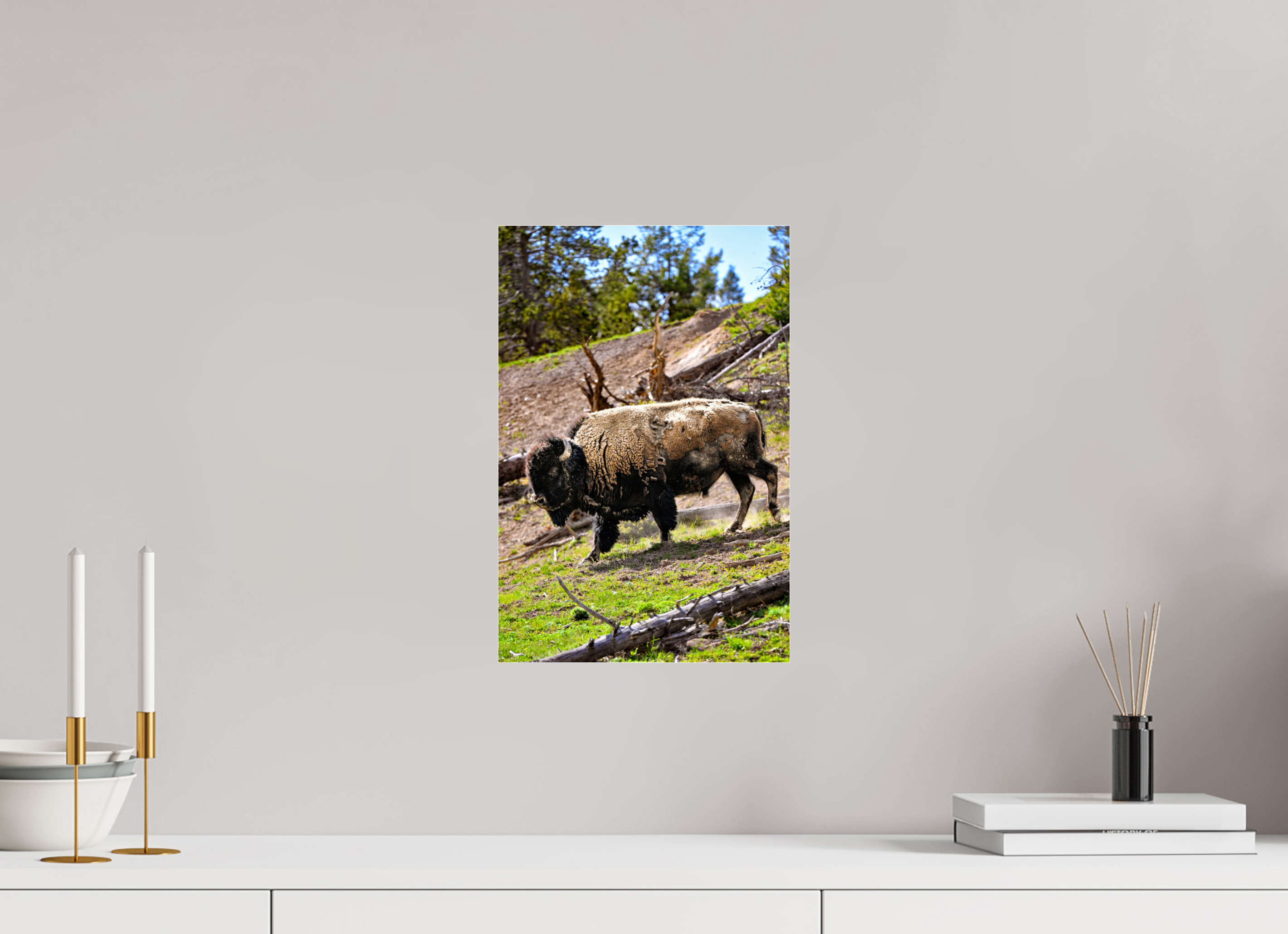 10 x 15″, ACRYLIC Bison Walking