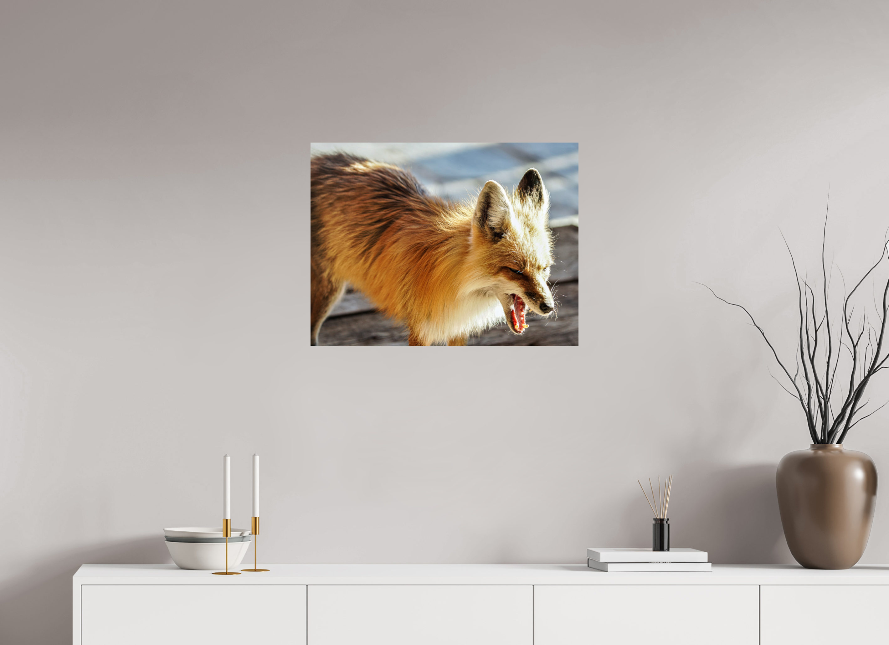 26.3 x 20″, PHOTO PAPER Fox