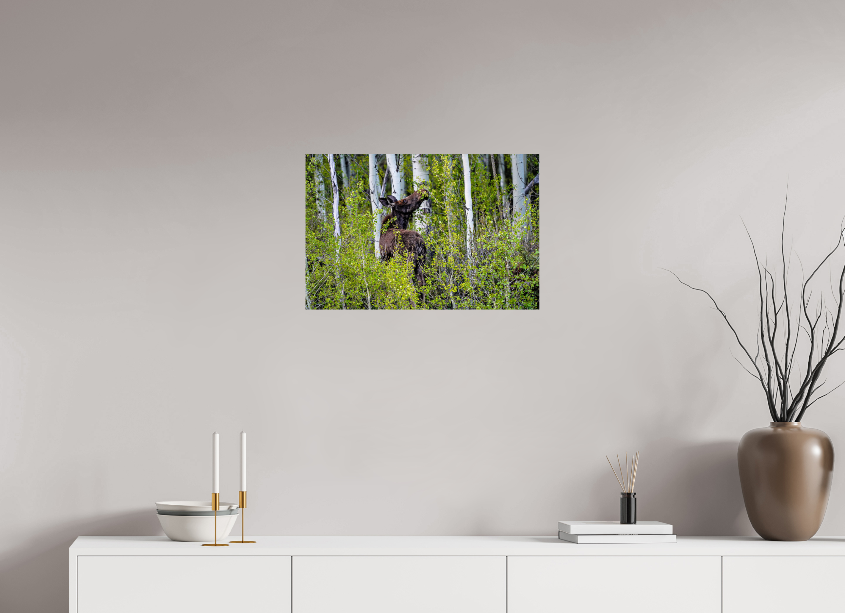 24 x 16″, METAL Cow Moose Snacking on Aspens