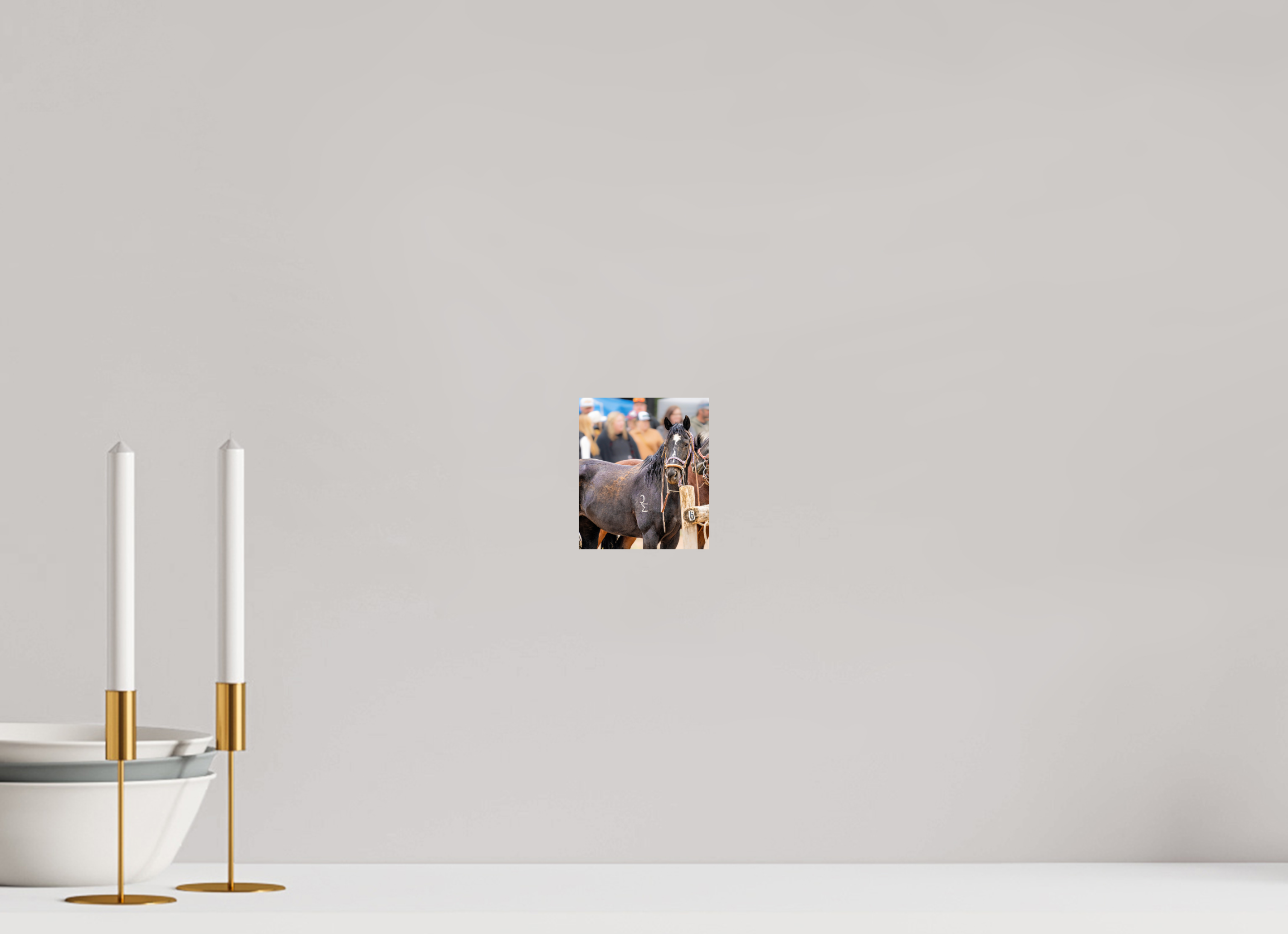 4 x 4.7″, METAL Pack Horse Portrait 16 Web Exclusive