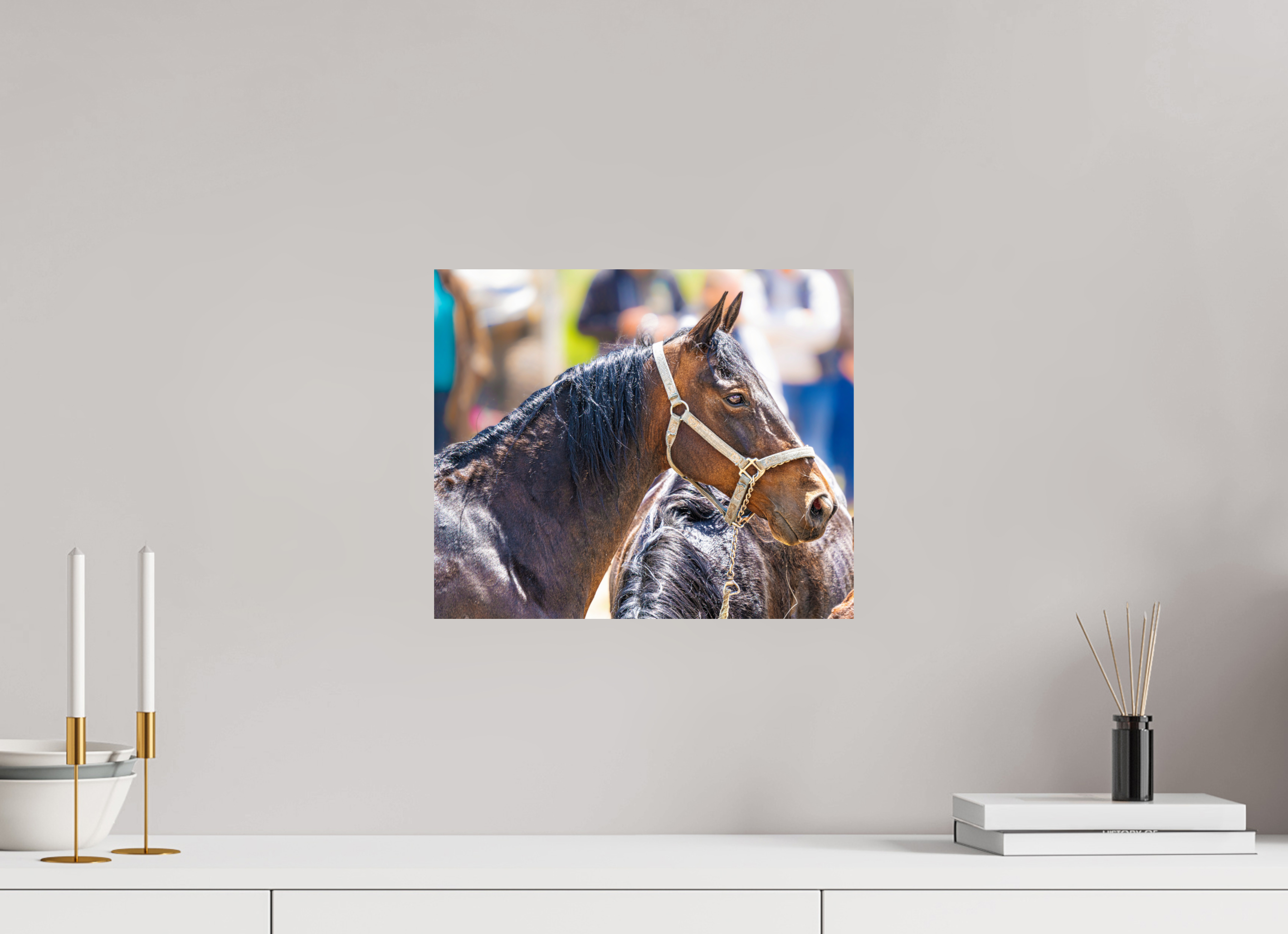 14.4 x 12″, METAL Pack Horse Portrait 14 Web Exclusive