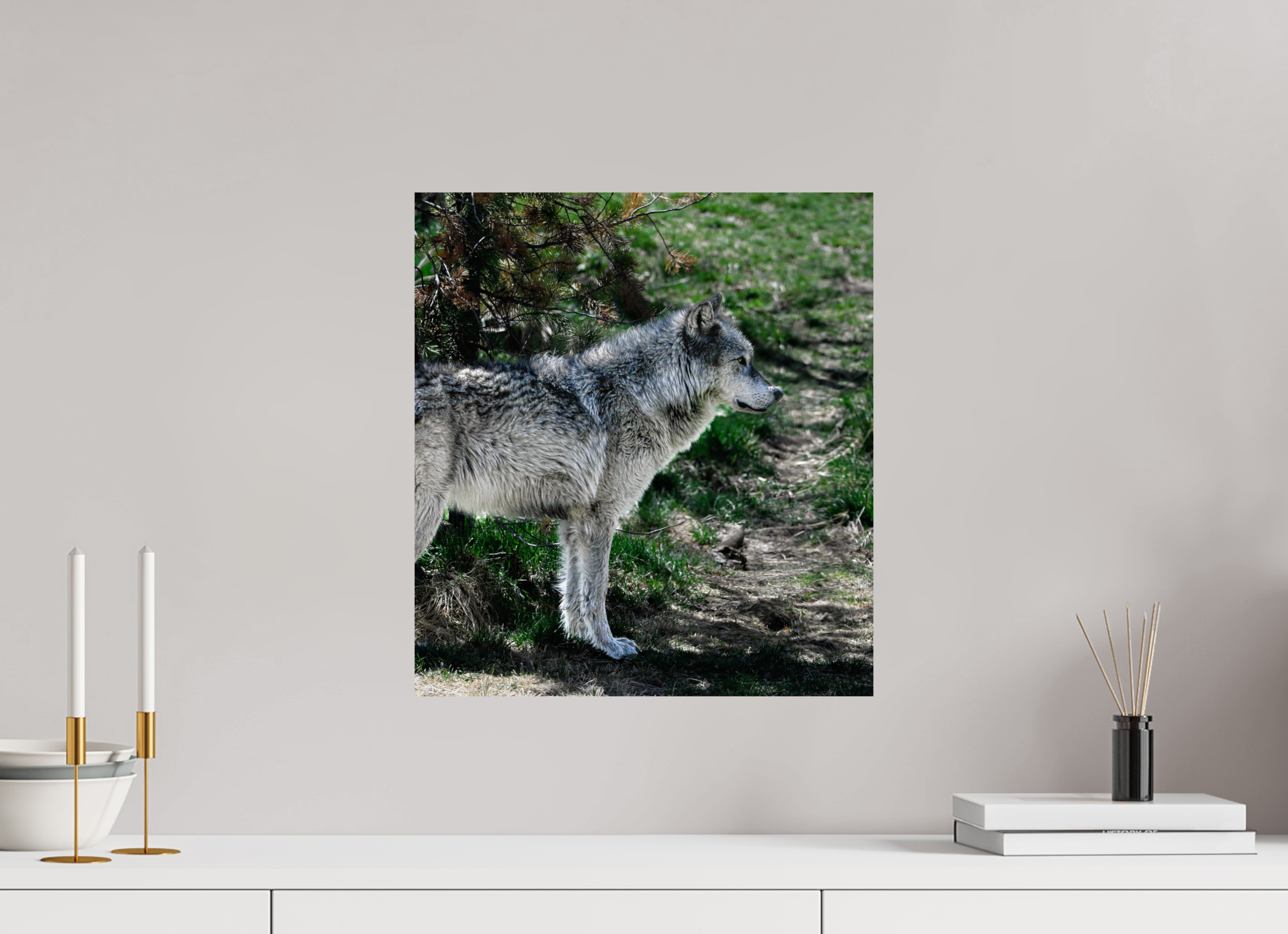 16 x 17.6″, PHOTO PAPER Wolf Standing