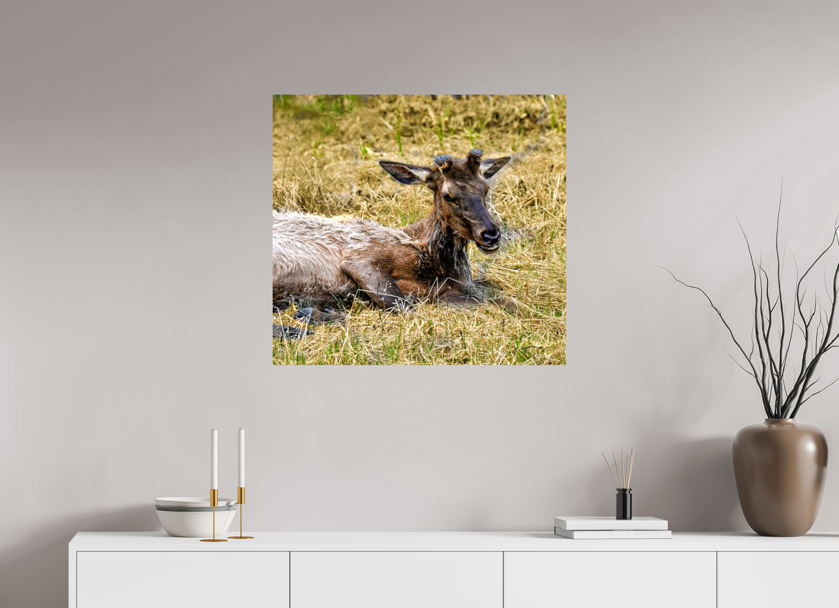 30.4 x 28″, METAL Elk