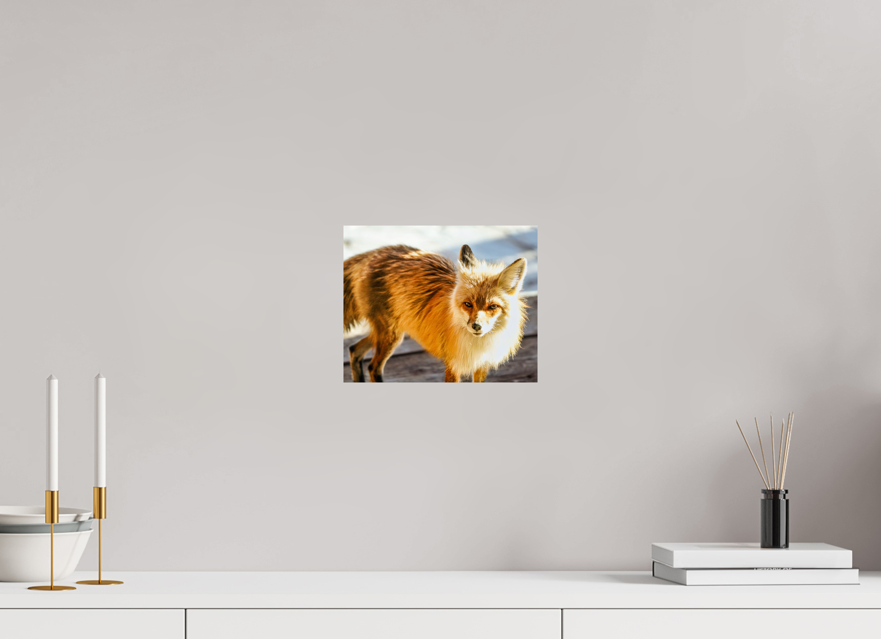 9.9 x 8″, PHOTO PAPER Fox
