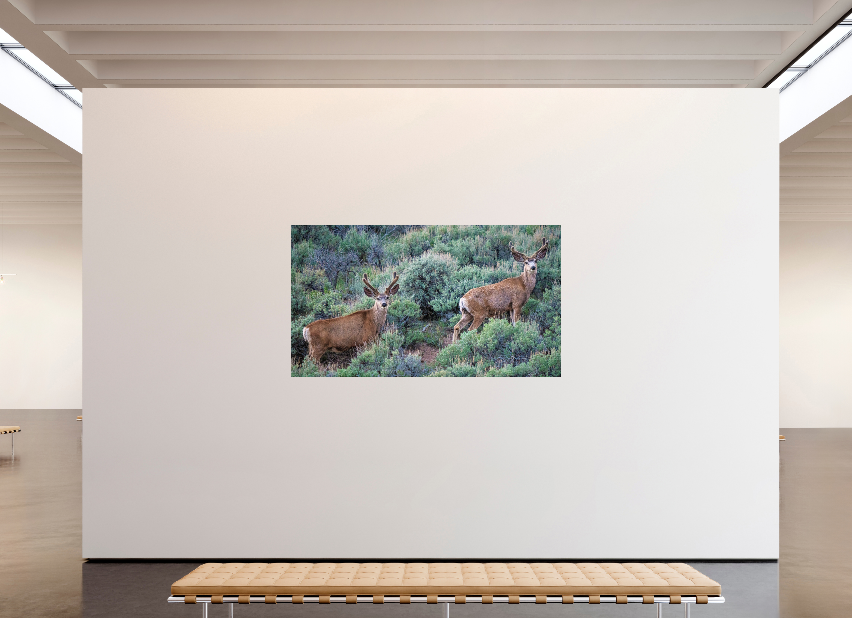 80 x 45″, ACRYLIC Deer