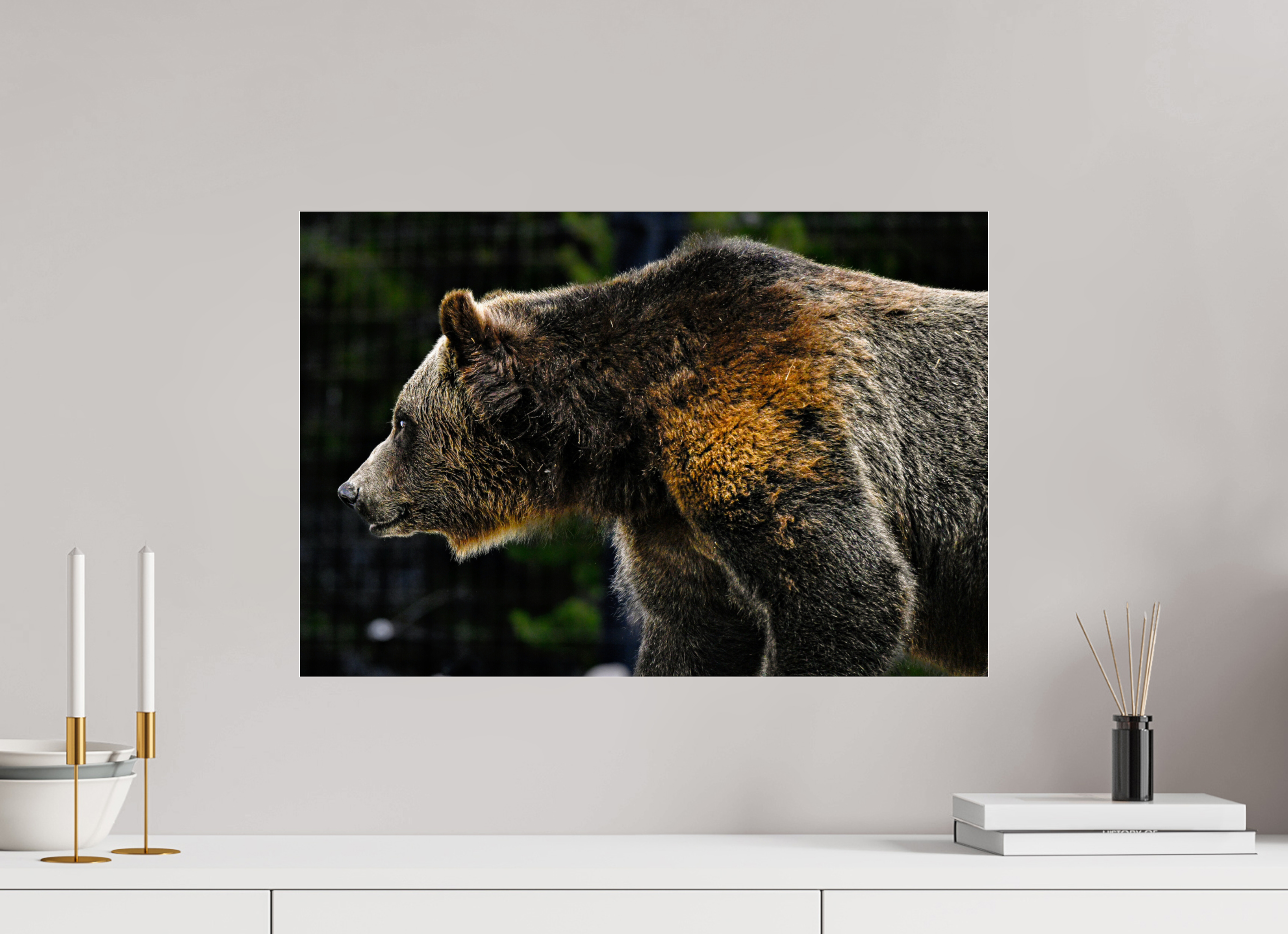 23.6 x 16″, ACRYLIC Bear