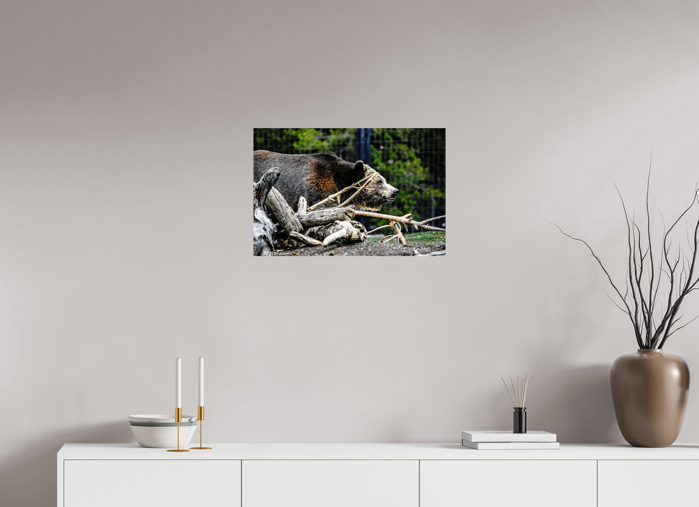 24 x 16″, PHOTO PAPER Bear