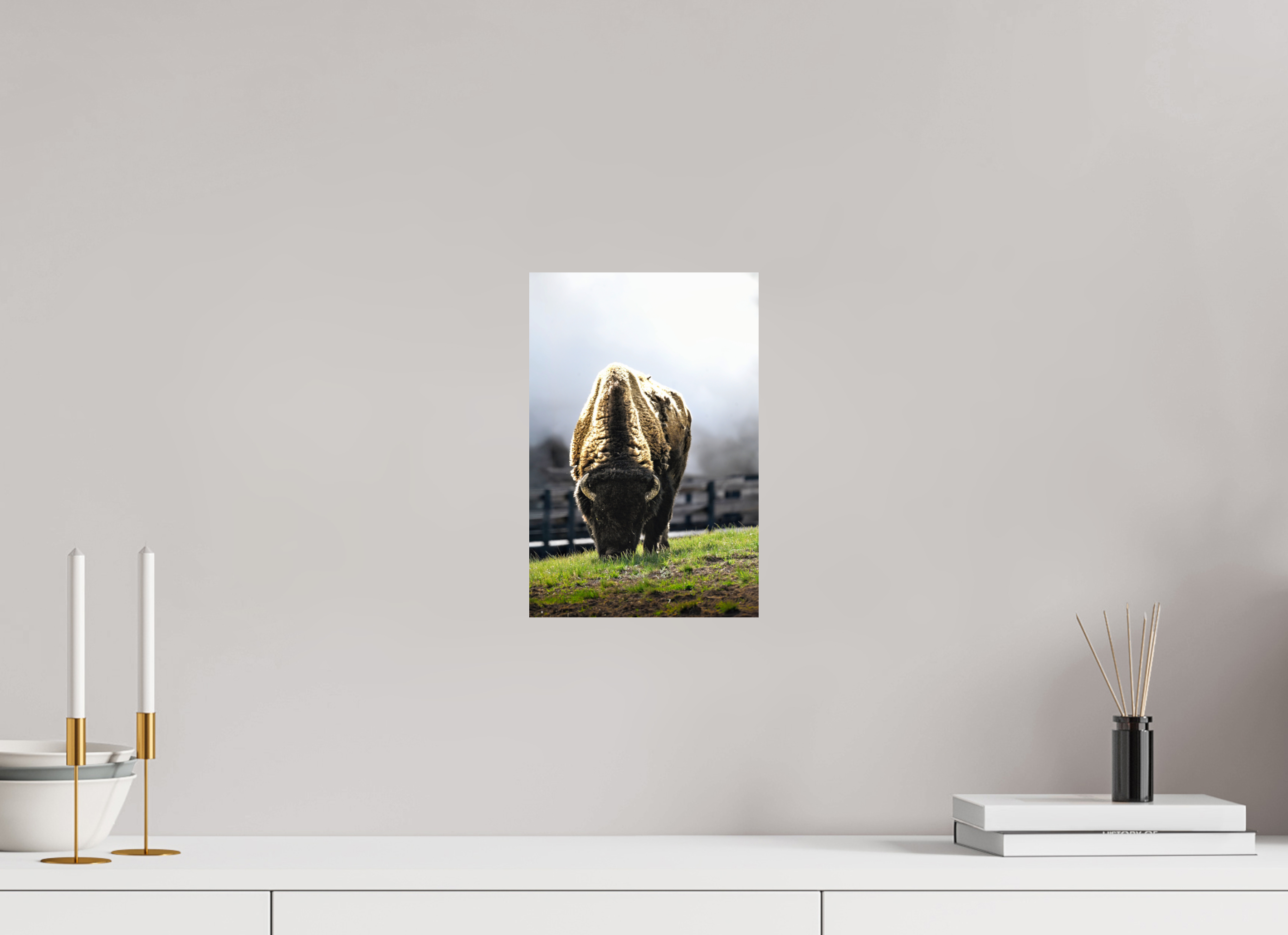 8 x 12″, PHOTO PAPER Bison Grazing