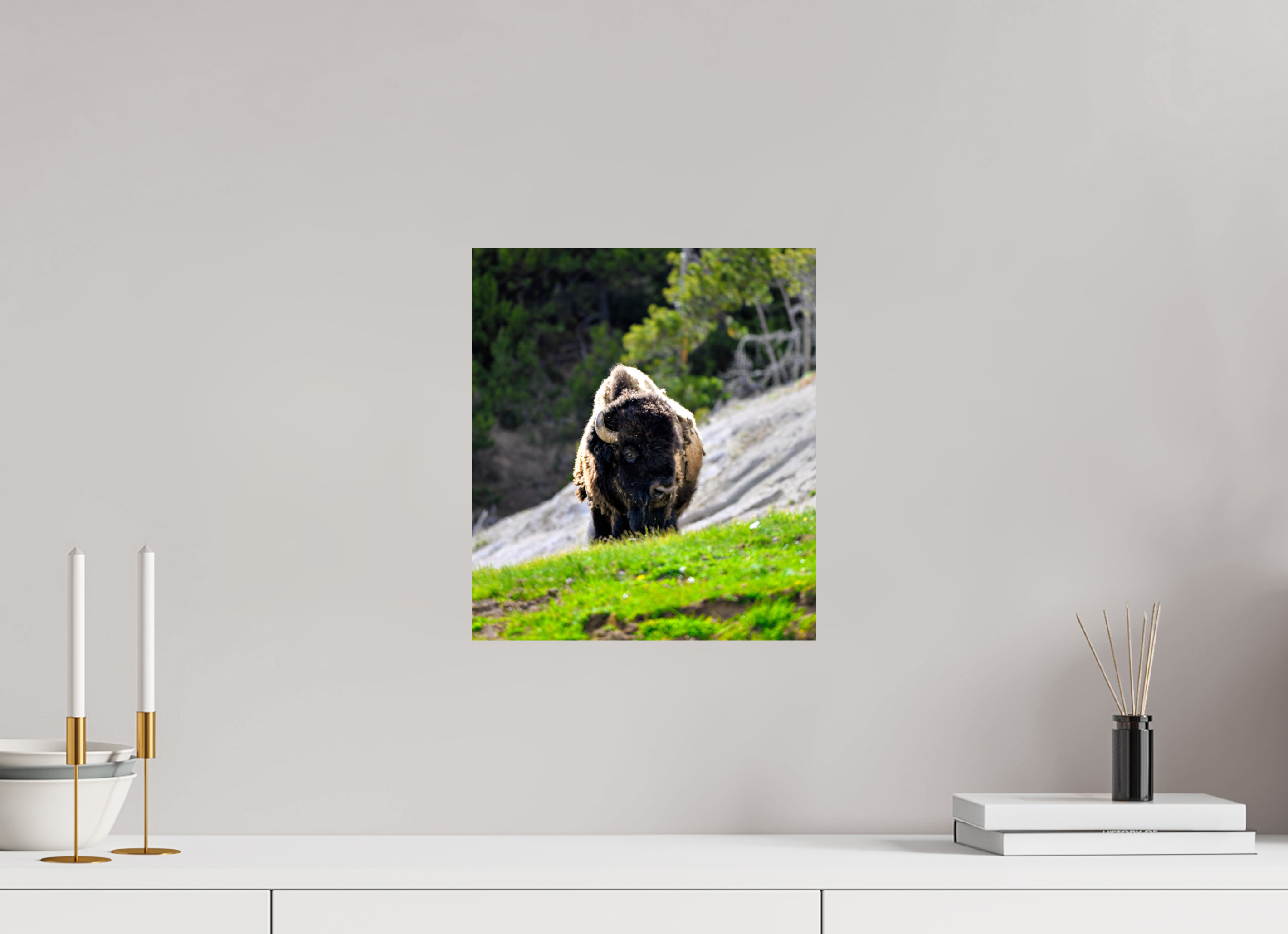 12 x 13.7″, PHOTO PAPER Bison Portrait