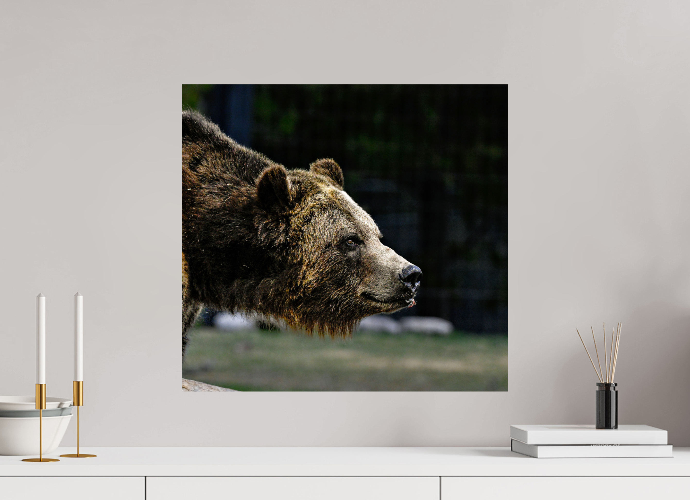 21.2 x 20″, PHOTO PAPER Bear Close Up