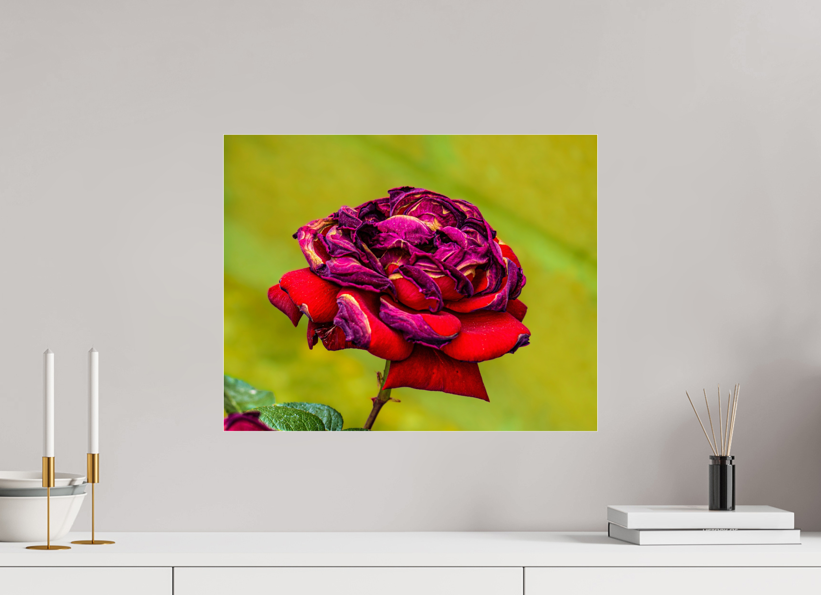 20.1 x 16″, ACRYLIC Red Rose