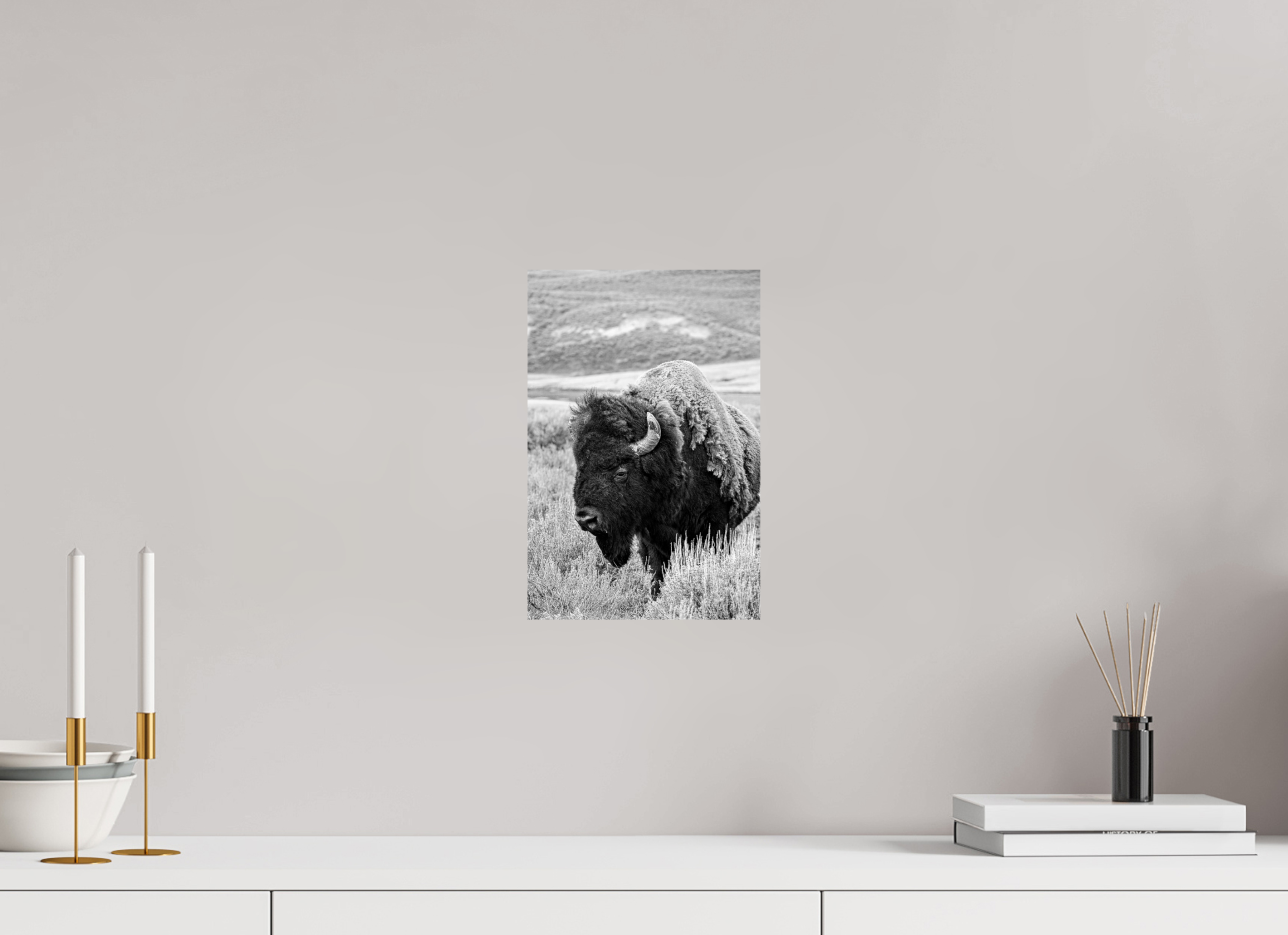 8 x 12″, METAL Monochrome Bison