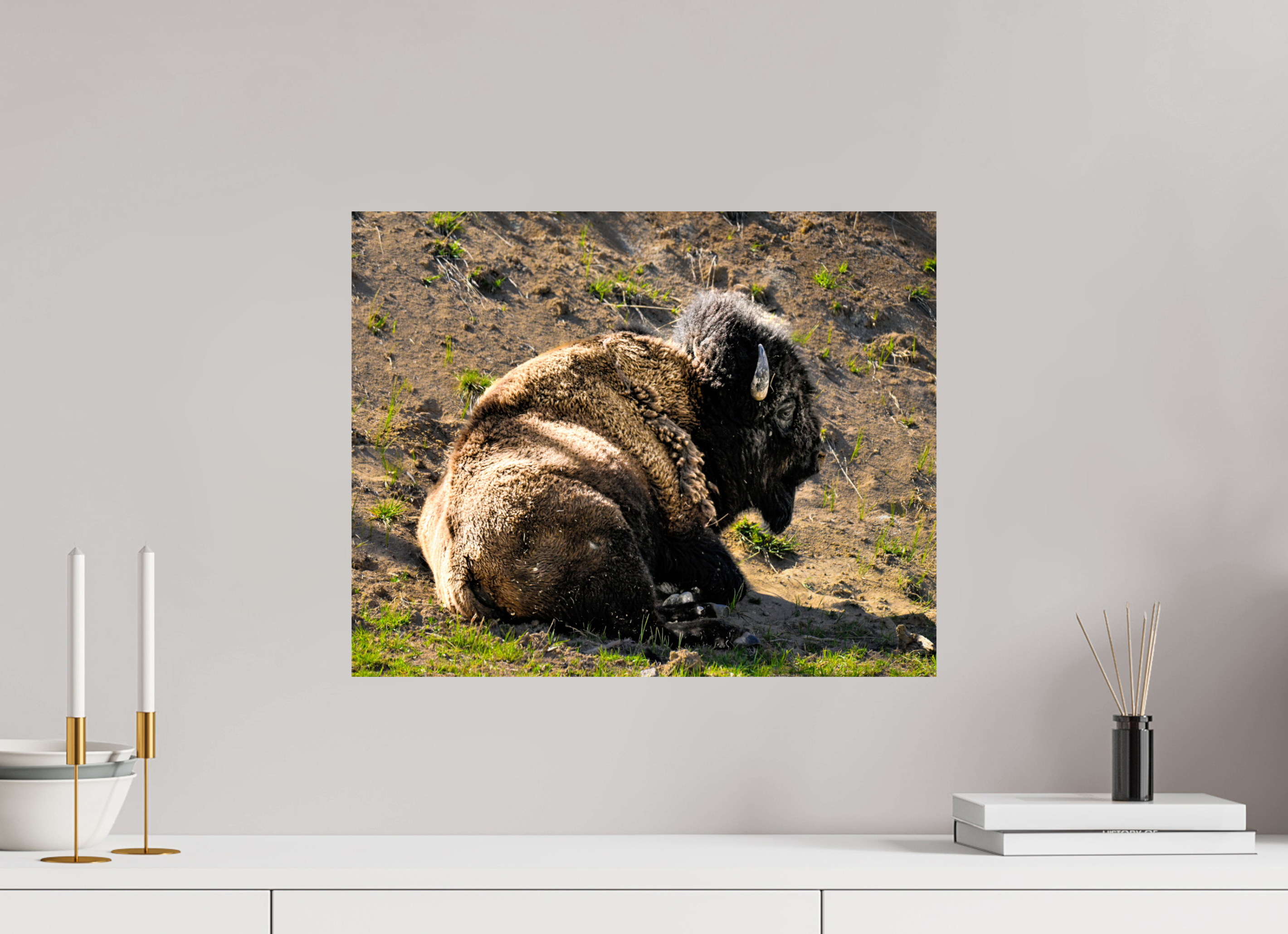 20.1 x 16″, METAL Bison Laying Down