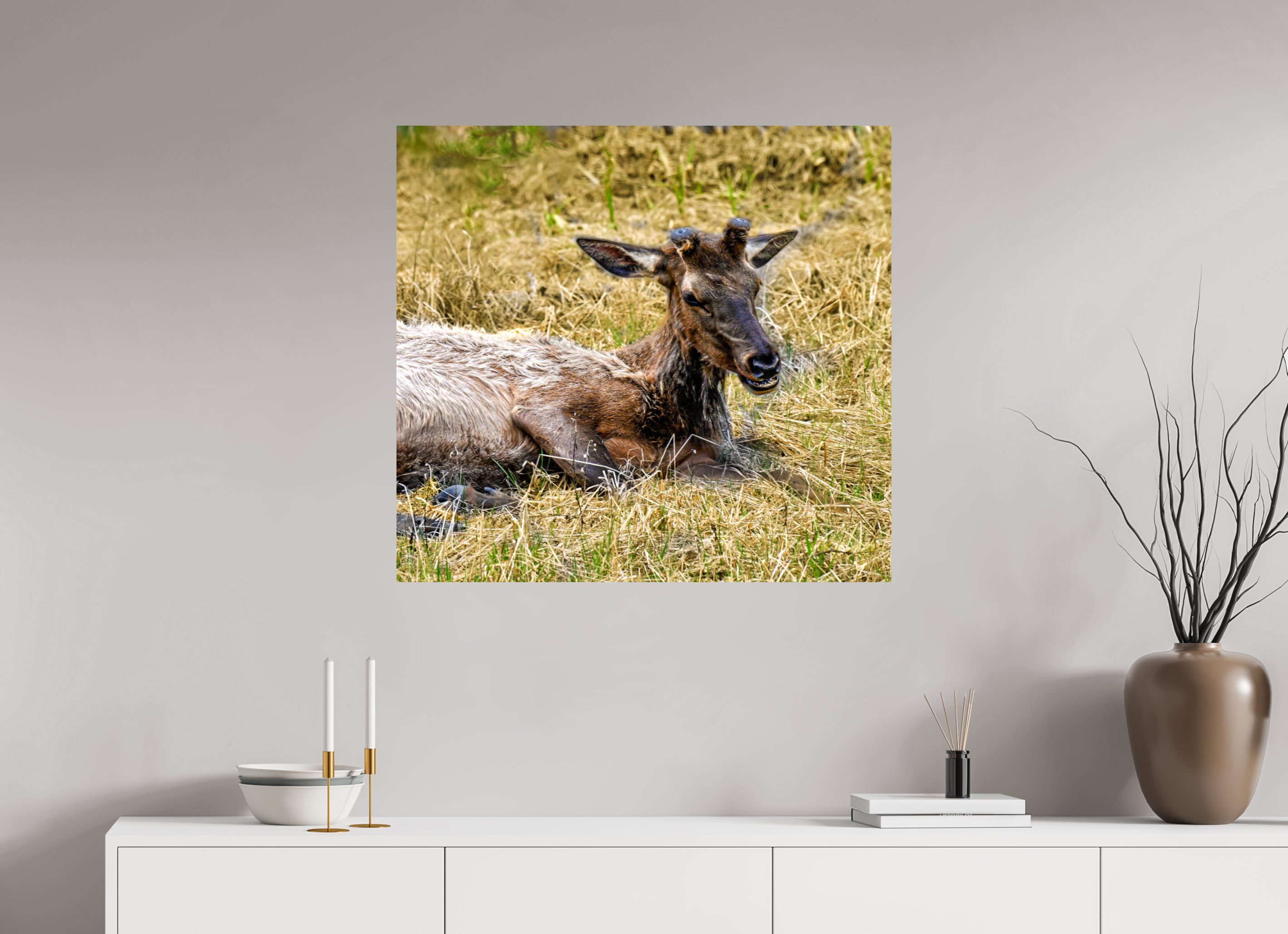 33.6 x 31″, PHOTO PAPER Elk