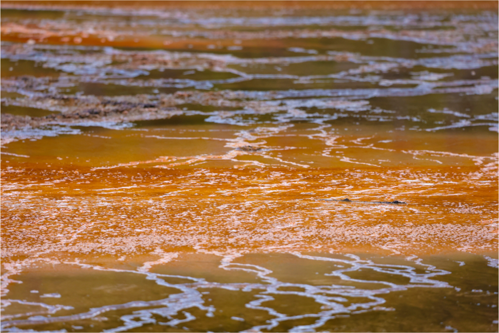 Main image Yellowstone