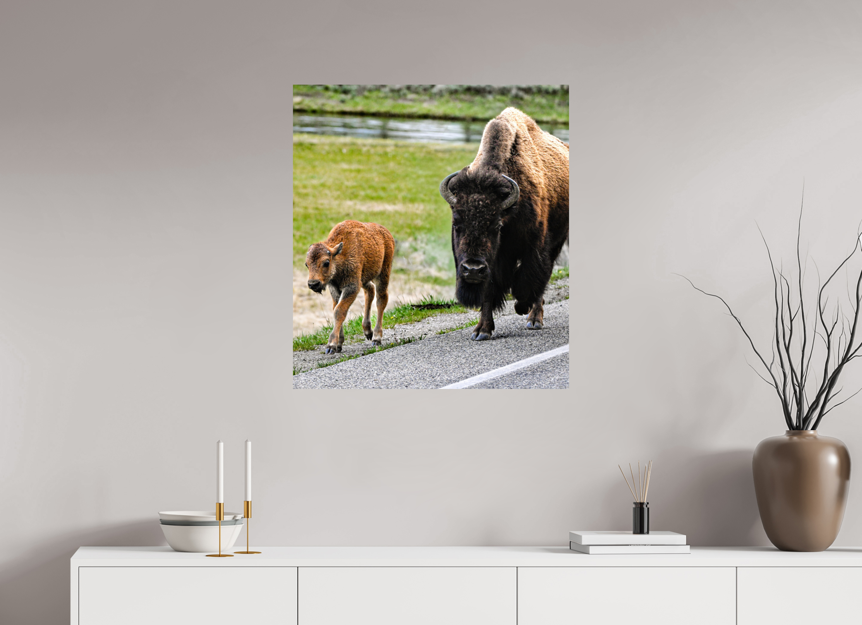 28 x 30.9″, PHOTO PAPER Bison and Red Dog On the Street
